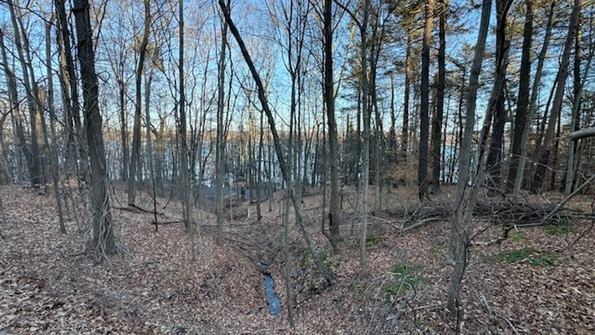 Property at 0 Maplewood Road, Ulysses, NY 14850 16