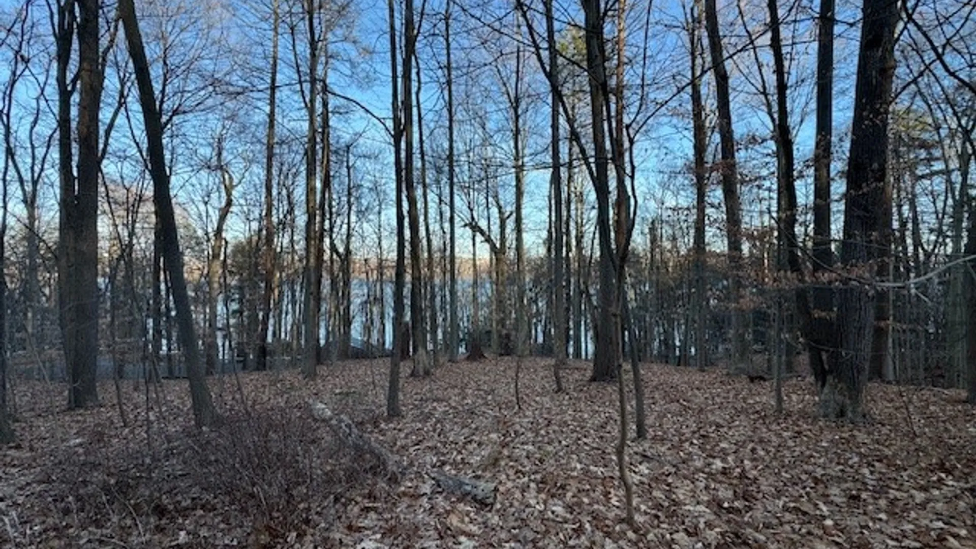 Property at 0 Maplewood Road, Ulysses, NY 14850 17