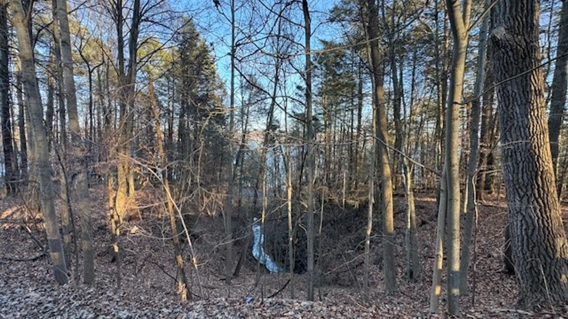 Property at 0 Maplewood Road, Ulysses, NY 14850 23