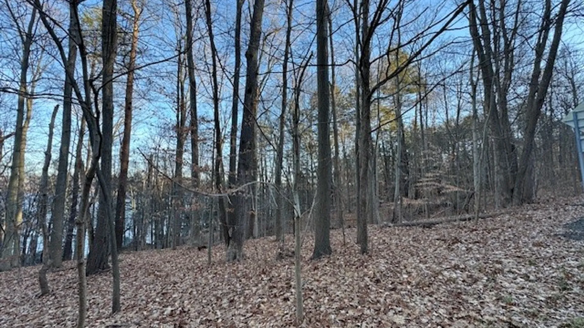 Property at 0 Maplewood Road, Ulysses, NY 14850 24