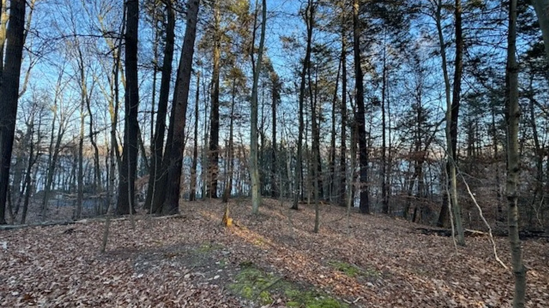 Property at 0 Maplewood Road, Ulysses, NY 14850 26