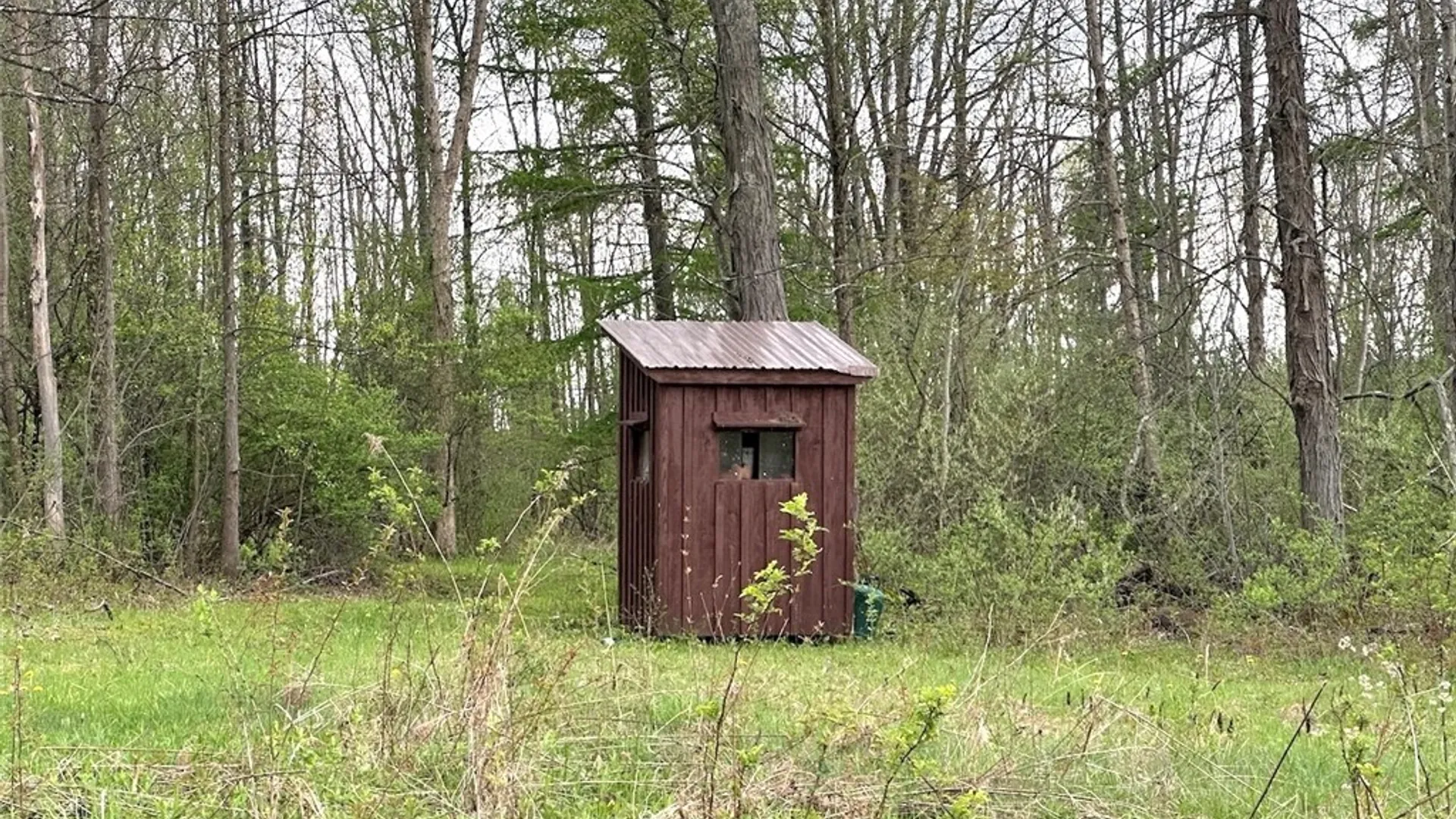 Property at River Road, Amity, NY 14813 7
