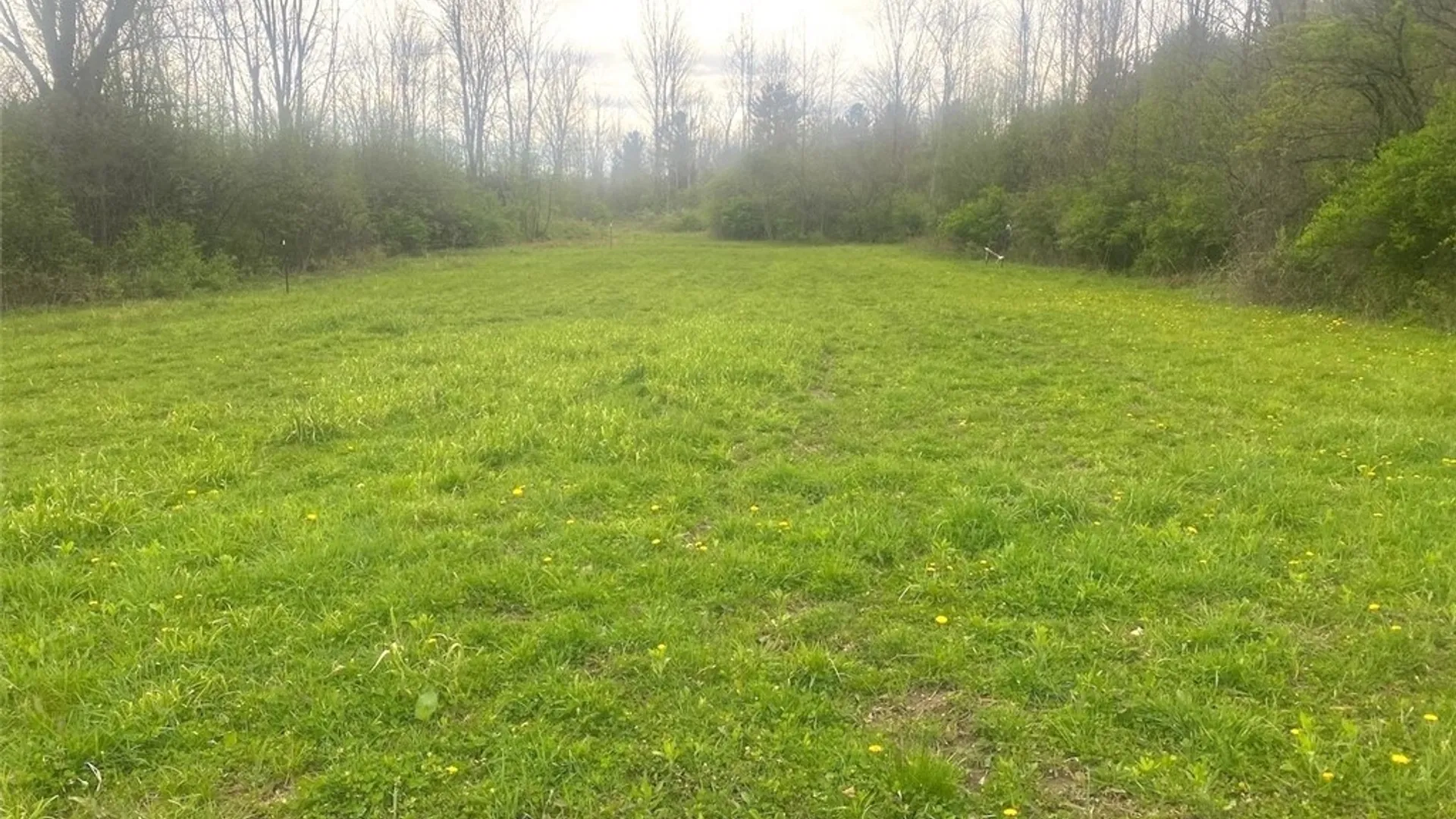 Property at River Road, Amity, NY 14813 9