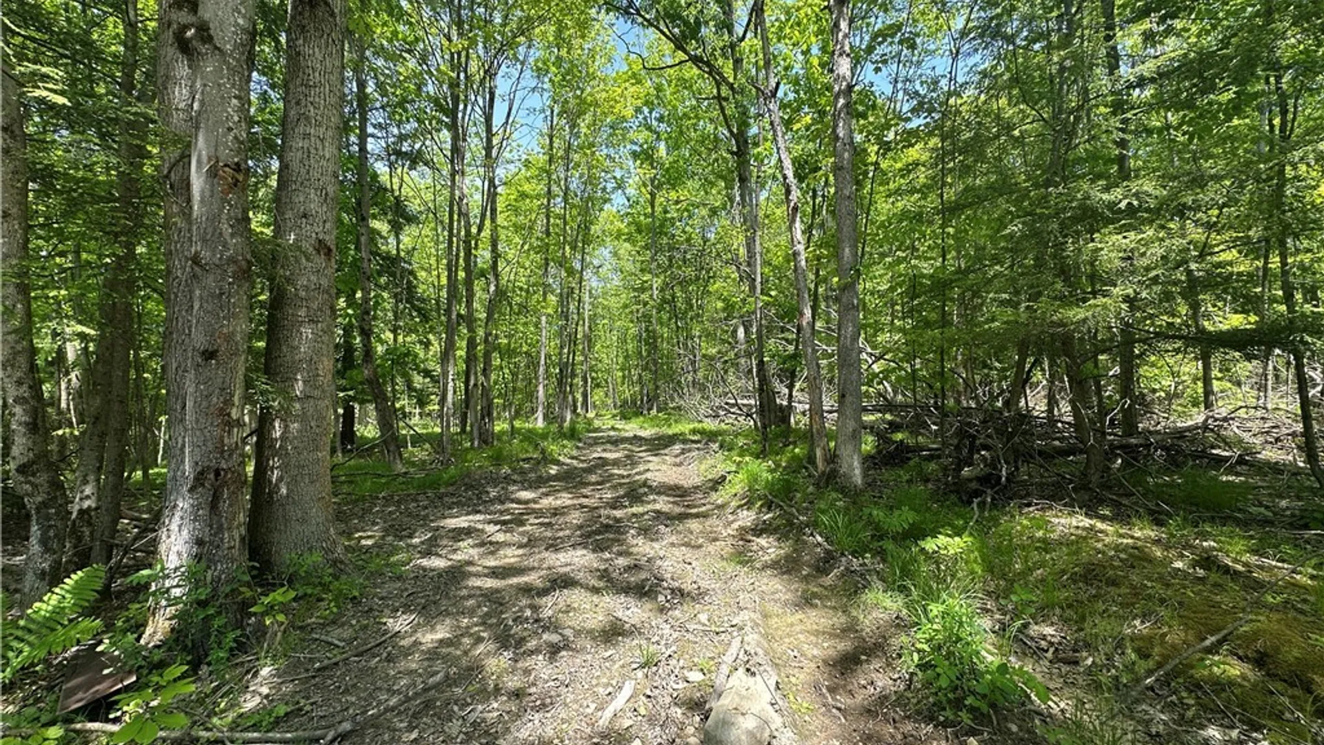 Property at River Road, Amity, NY 14813 13