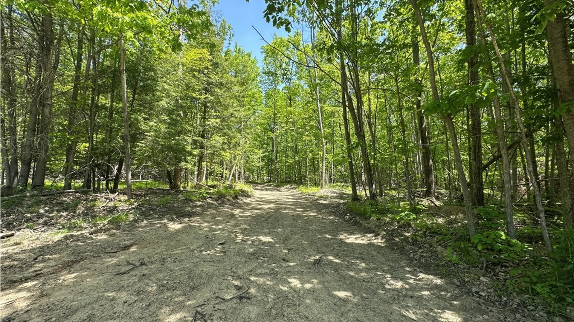 Property at River Road, Amity, NY 14813 15