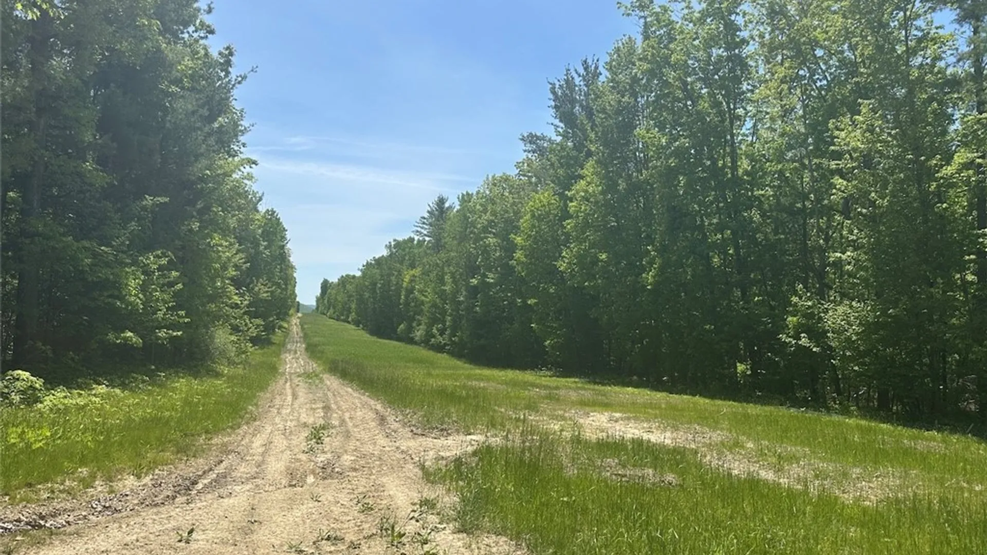 Property at River Road, Amity, NY 14813 19