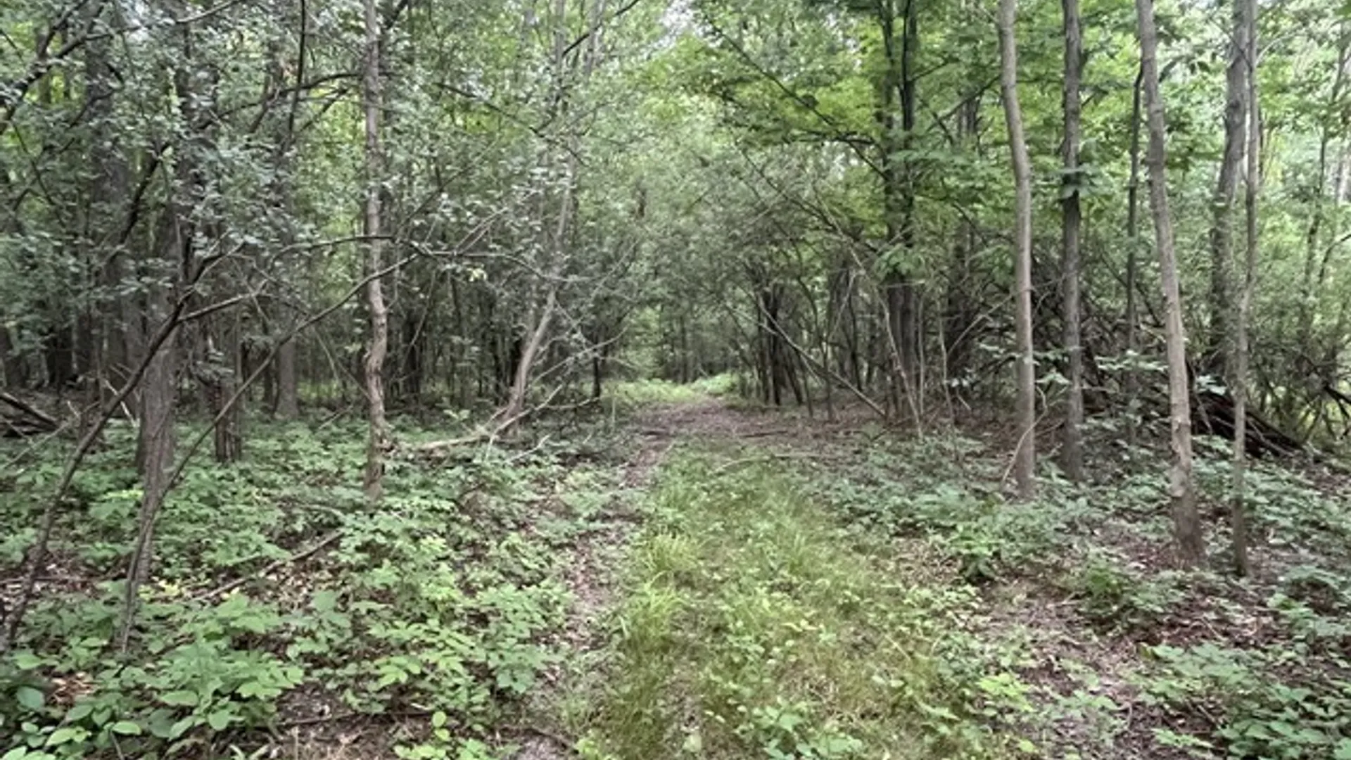 Property at Rt-408, Nunda, NY 14517 6