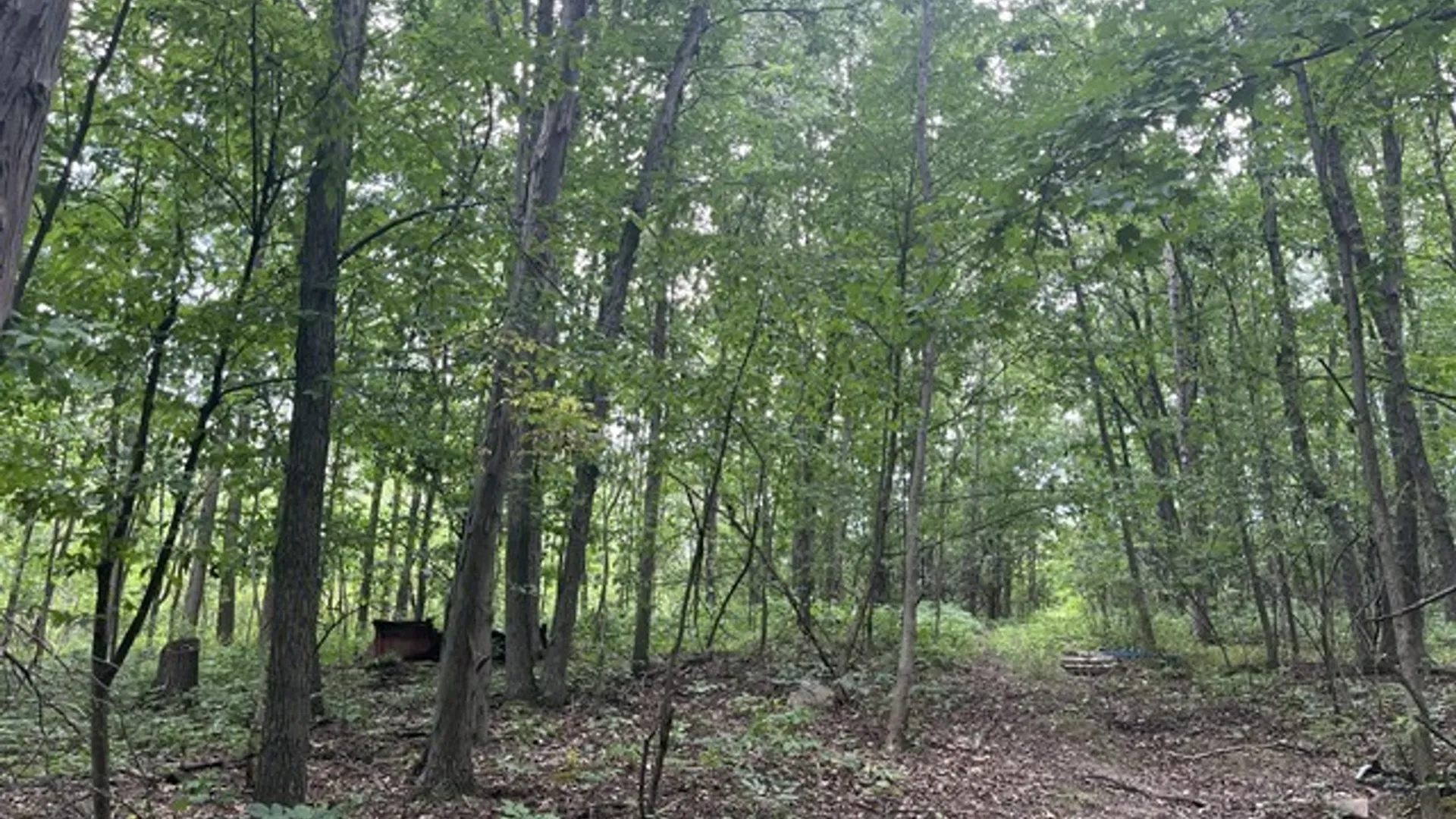 Property at Rt-408, Nunda, NY 14517 8