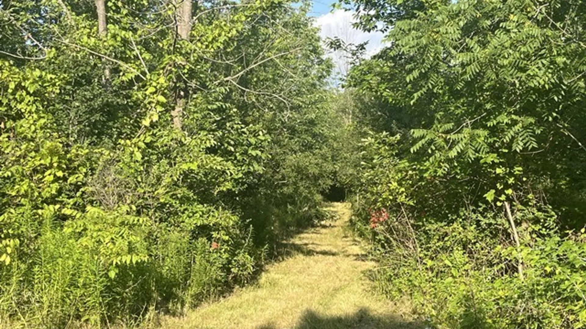Property at Rt-408, Nunda, NY 14517 11