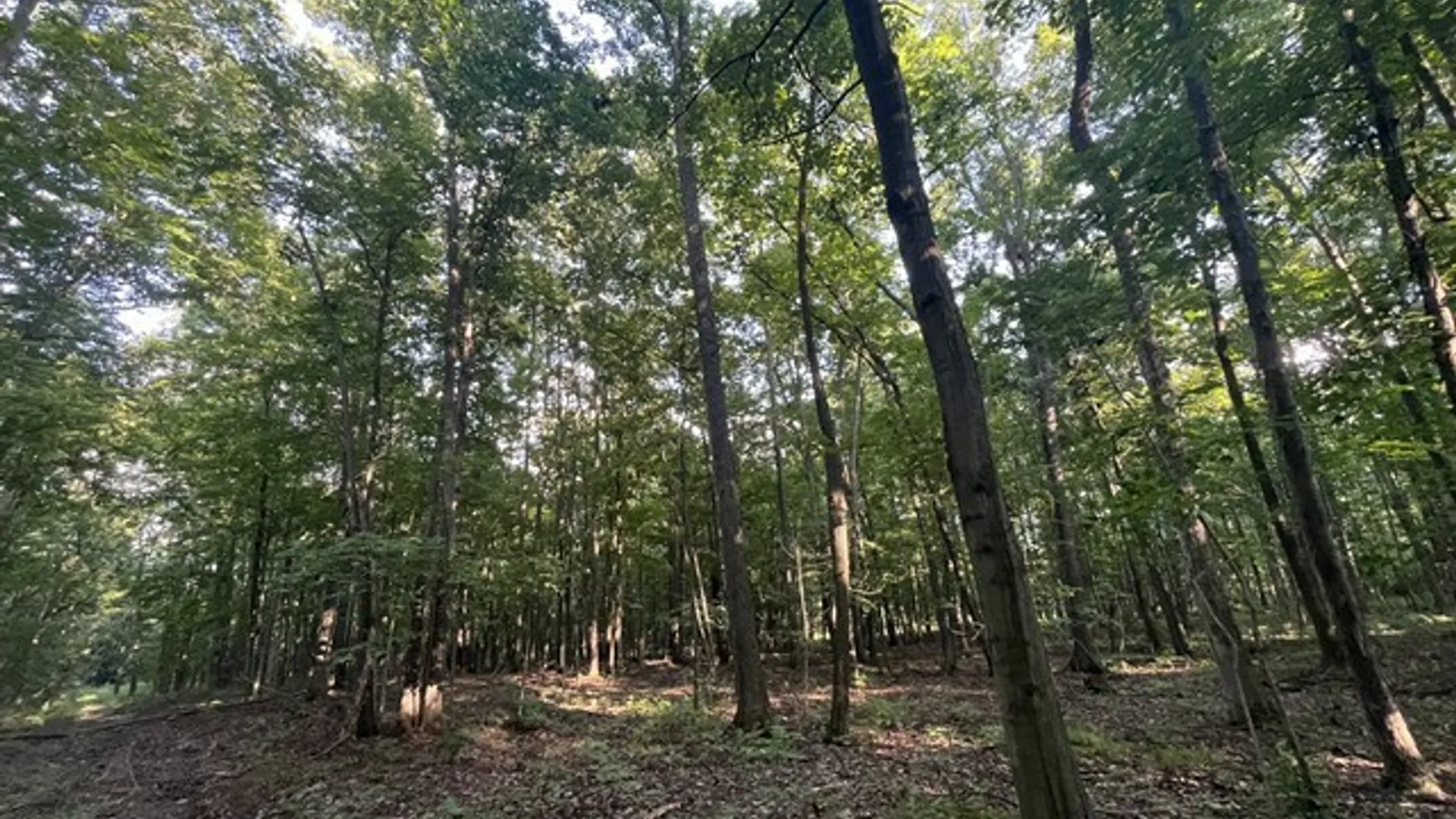 Property at Rt-408, Nunda, NY 14517 12