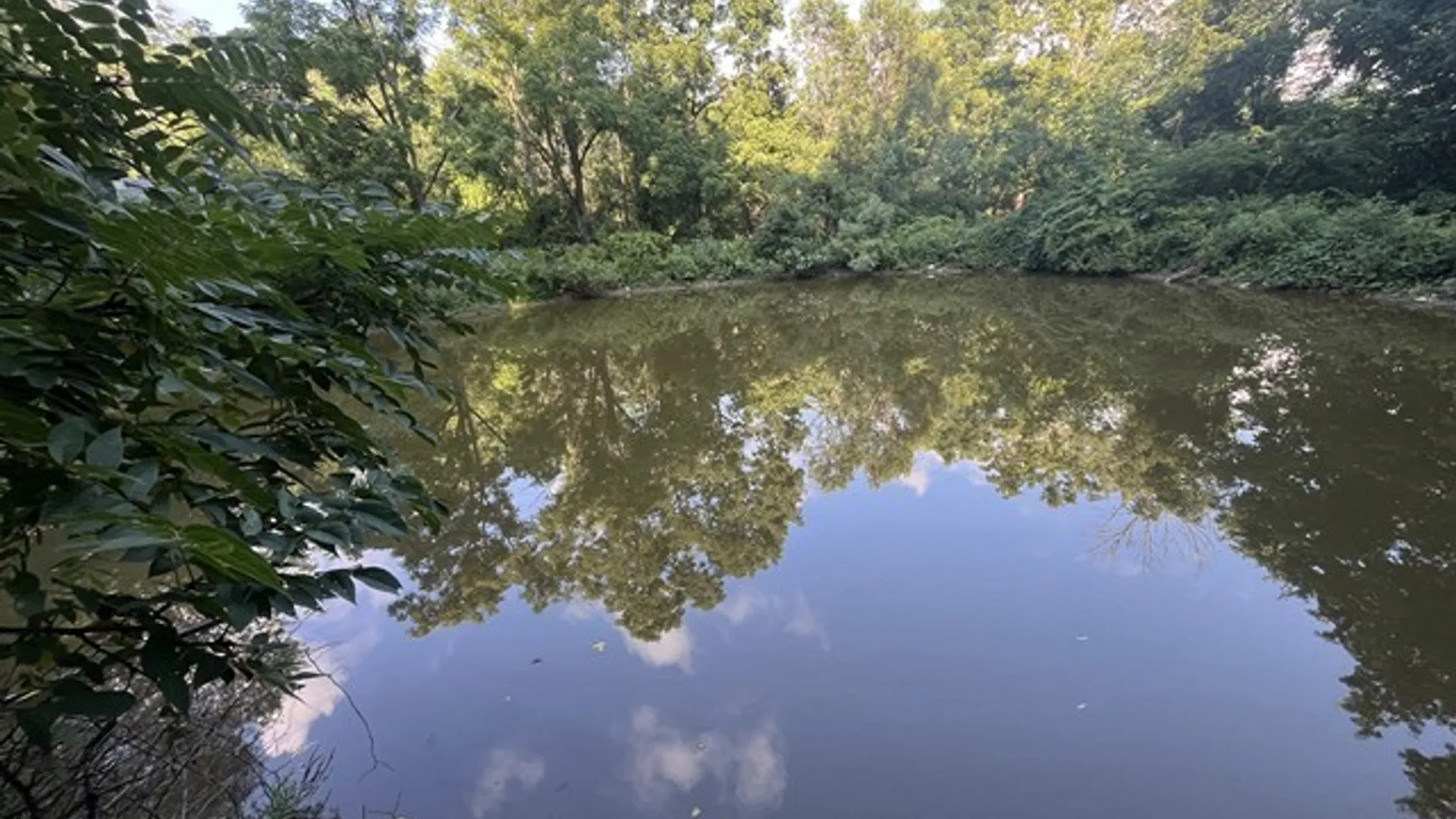 Property at Rt-408, Nunda, NY 14517 13