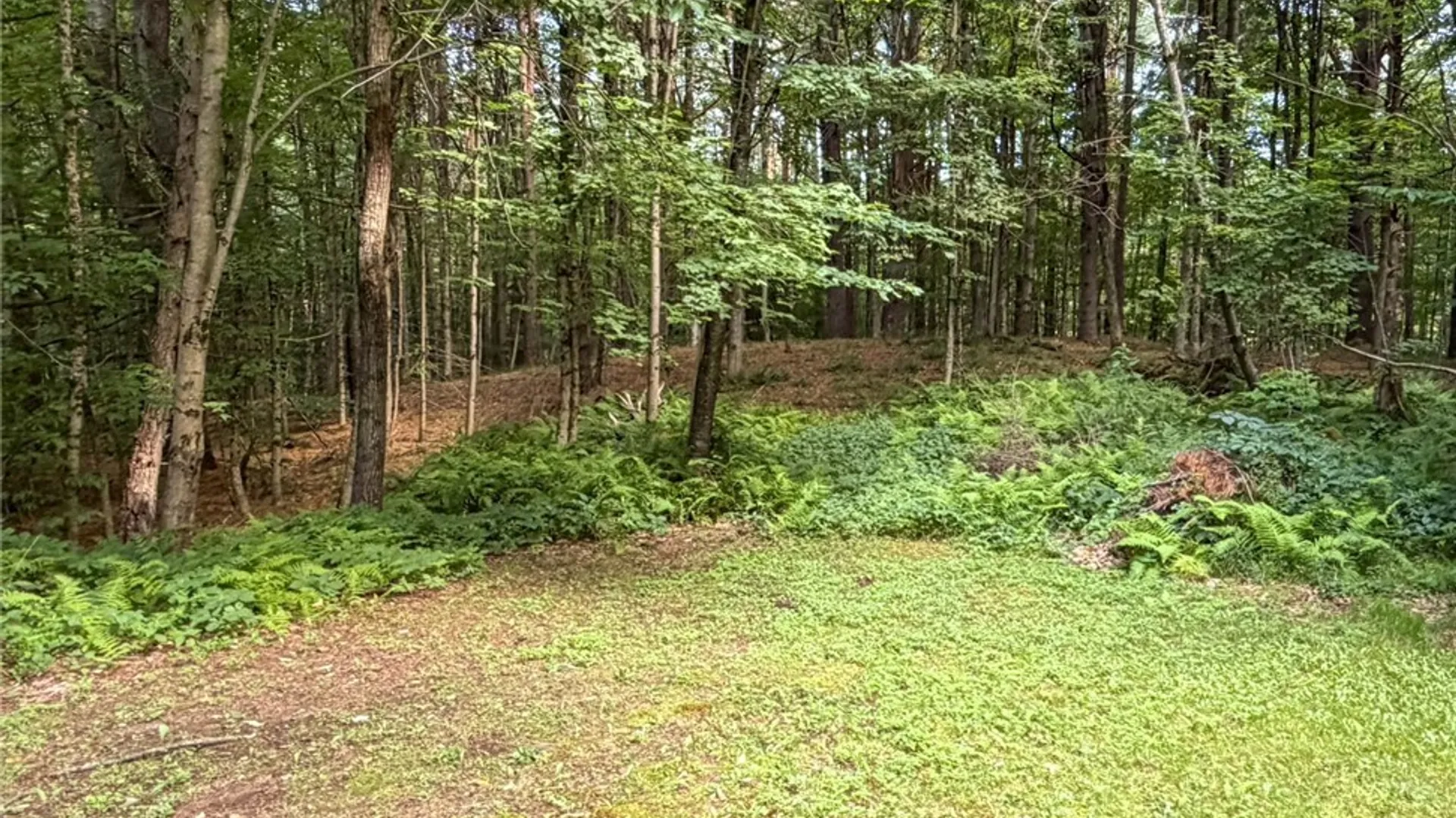 Property at 6049 White Lake Road, Forestport, NY 13338 24