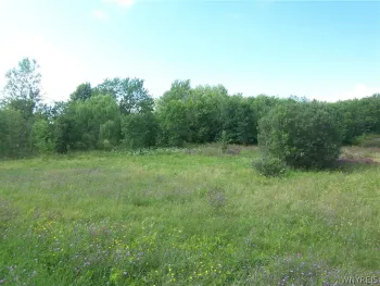 Property at V/L Broadway Road, Darien, NY 14040