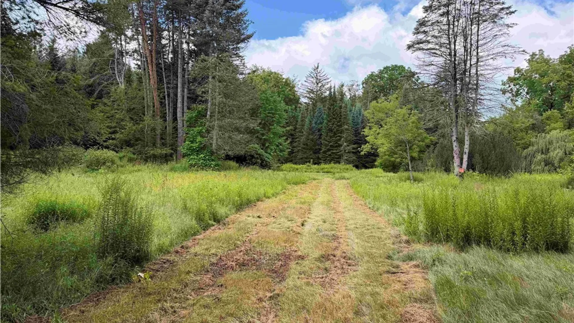 Property at Mill Street, Collins, NY 14034 19