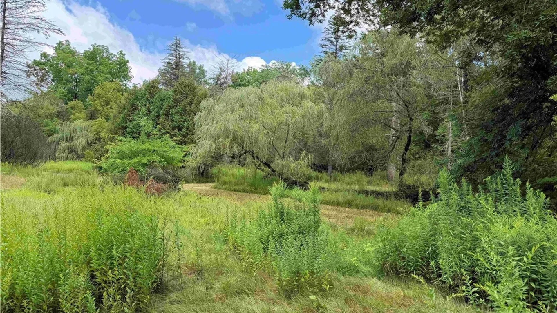 Property at Mill Street, Collins, NY 14034 20