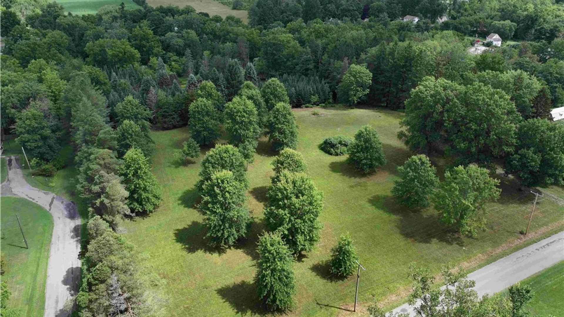 Property at Mill Street, Collins, NY 14034 4