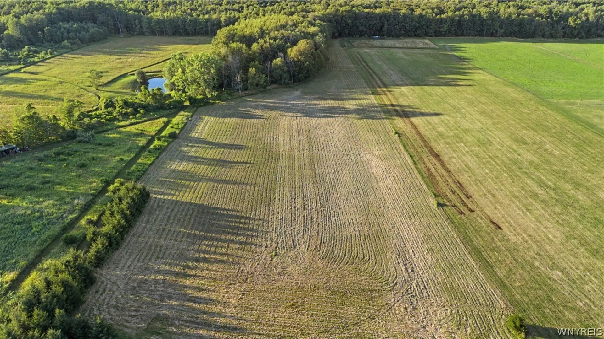 Property at 12654 Warner Hill Road, Wales, NY 14139 47