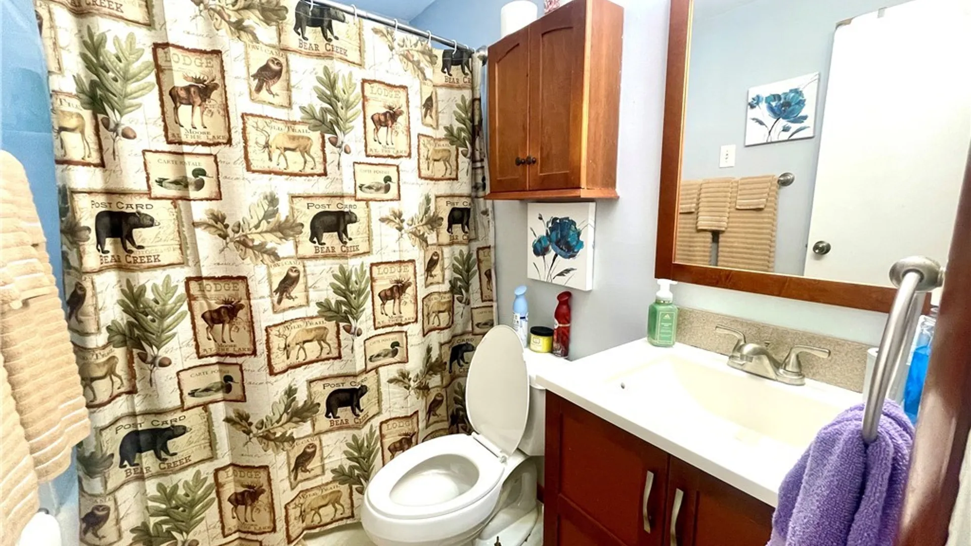 Property at 11 Covington Drive, West Seneca, NY 14220 10