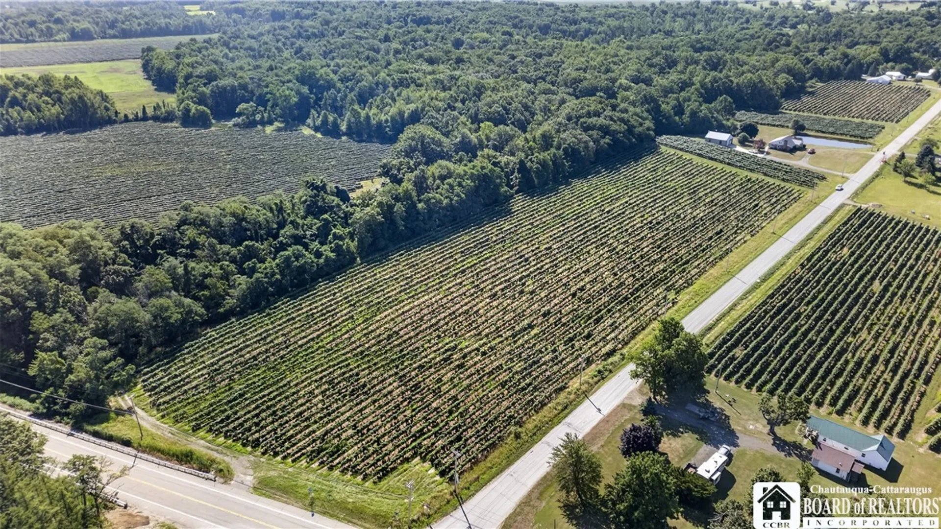 Property at E Lake Road, Westfield, NY 14787 6