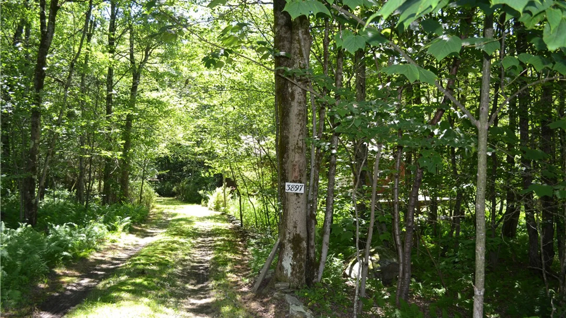 Property at 3897 Campbell Mountain Road, Colchester, NY 13755 29