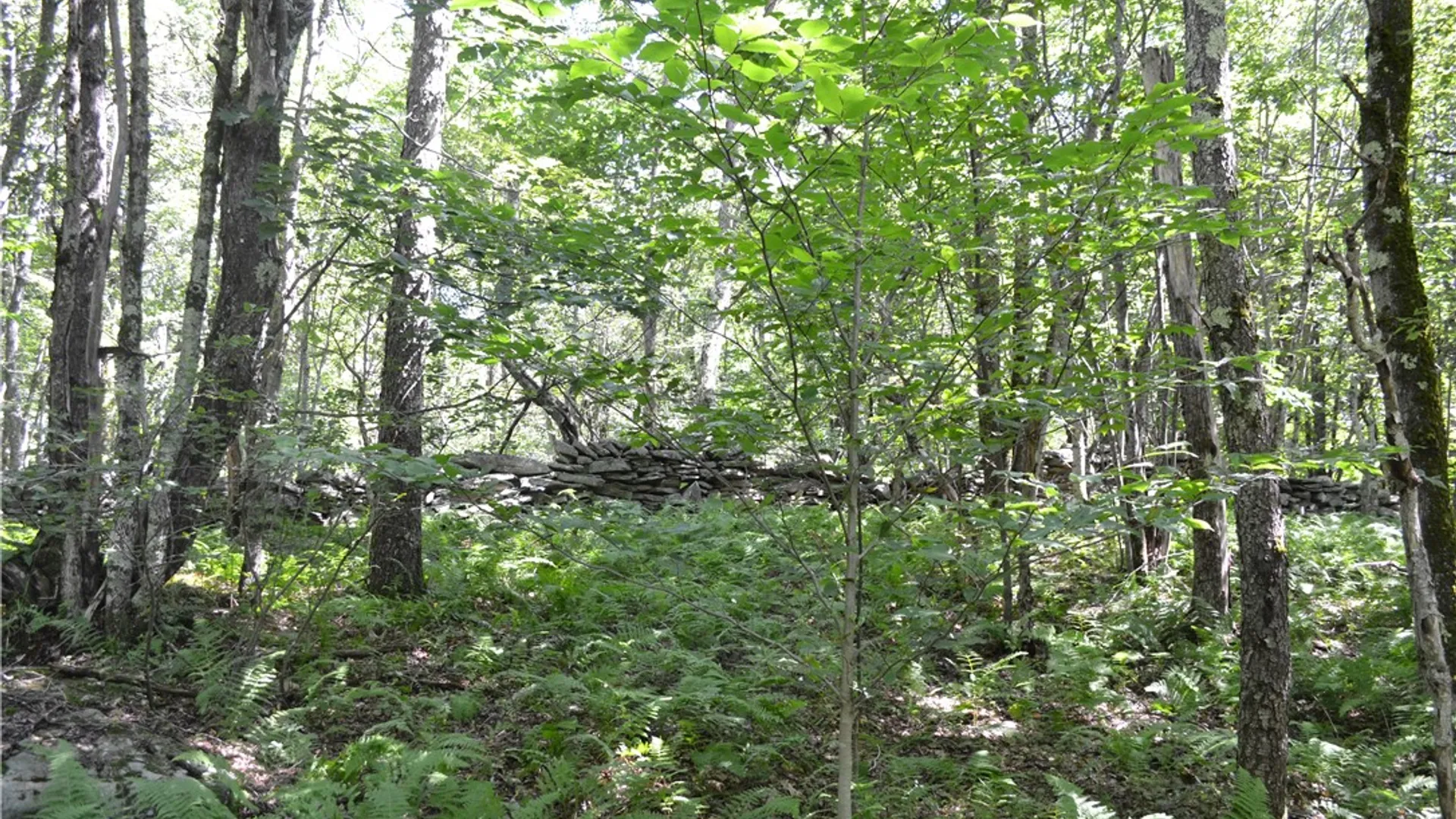 Property at 3897 Campbell Mountain Road, Colchester, NY 13755 5