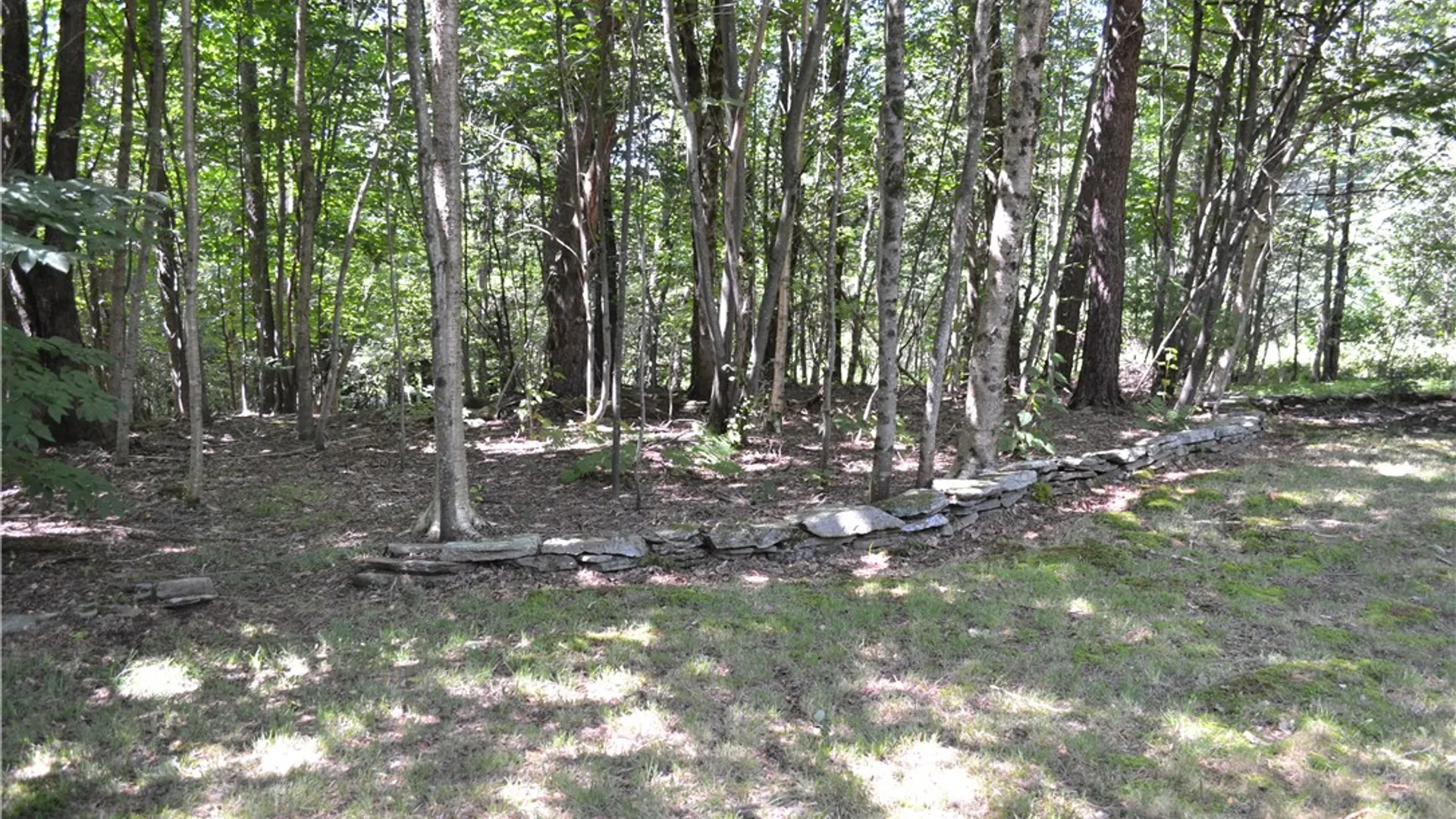 Property at 3897 Campbell Mountain Road, Colchester, NY 13755 11