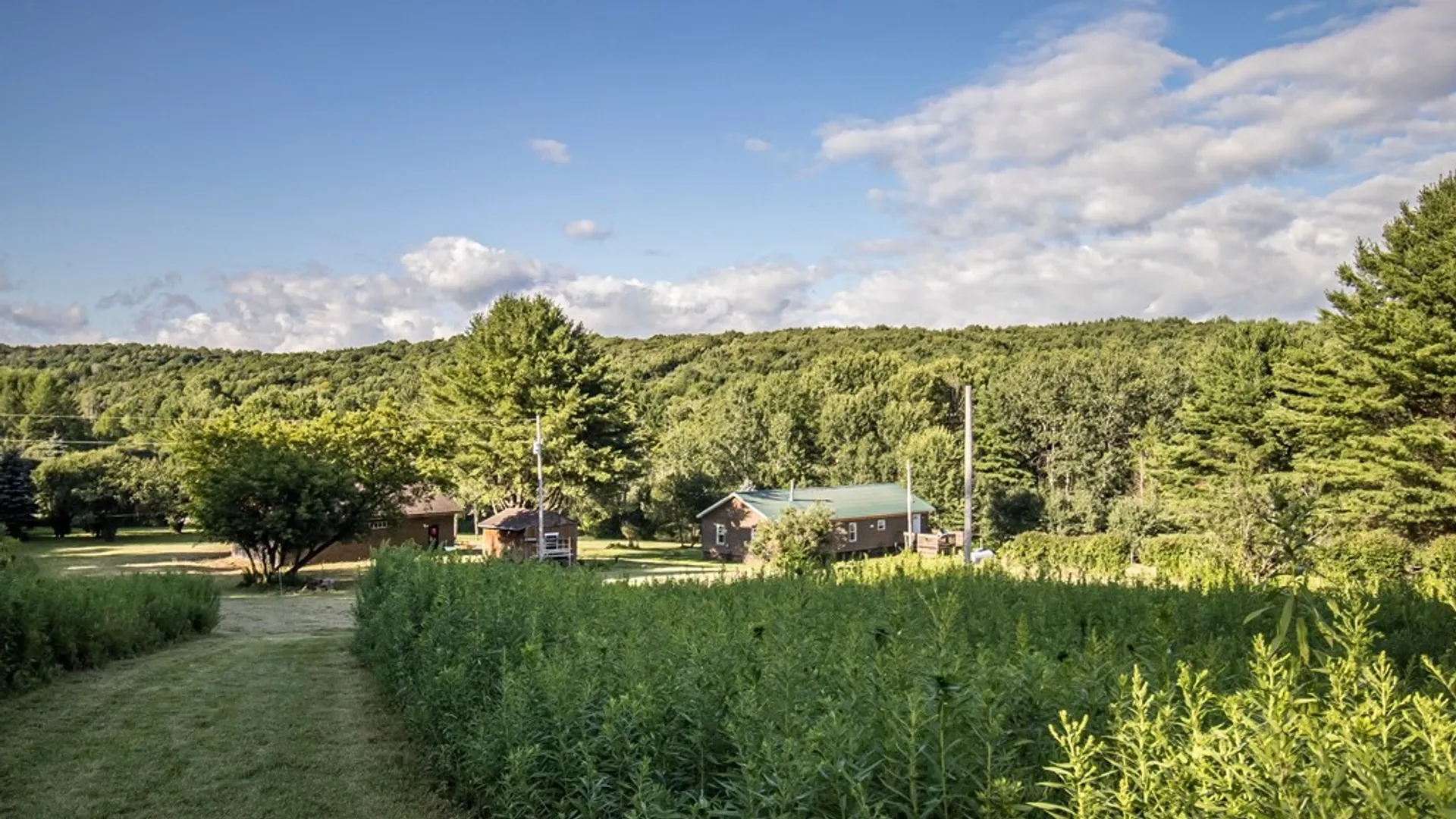 Property at 2455 Hatch Lake Road, Nelson, NY 13334 6