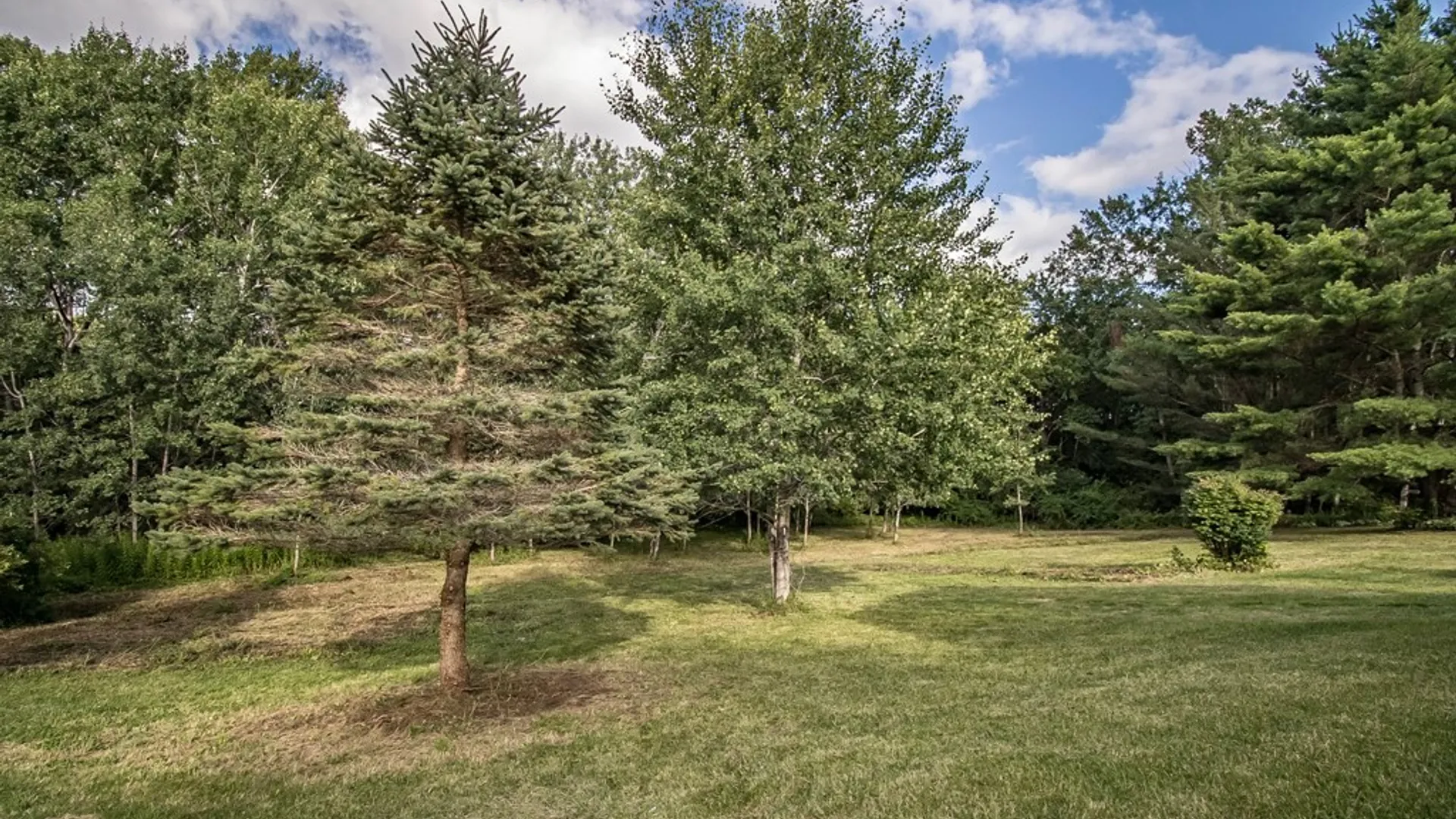 Property at 2455 Hatch Lake Road, Nelson, NY 13334 10
