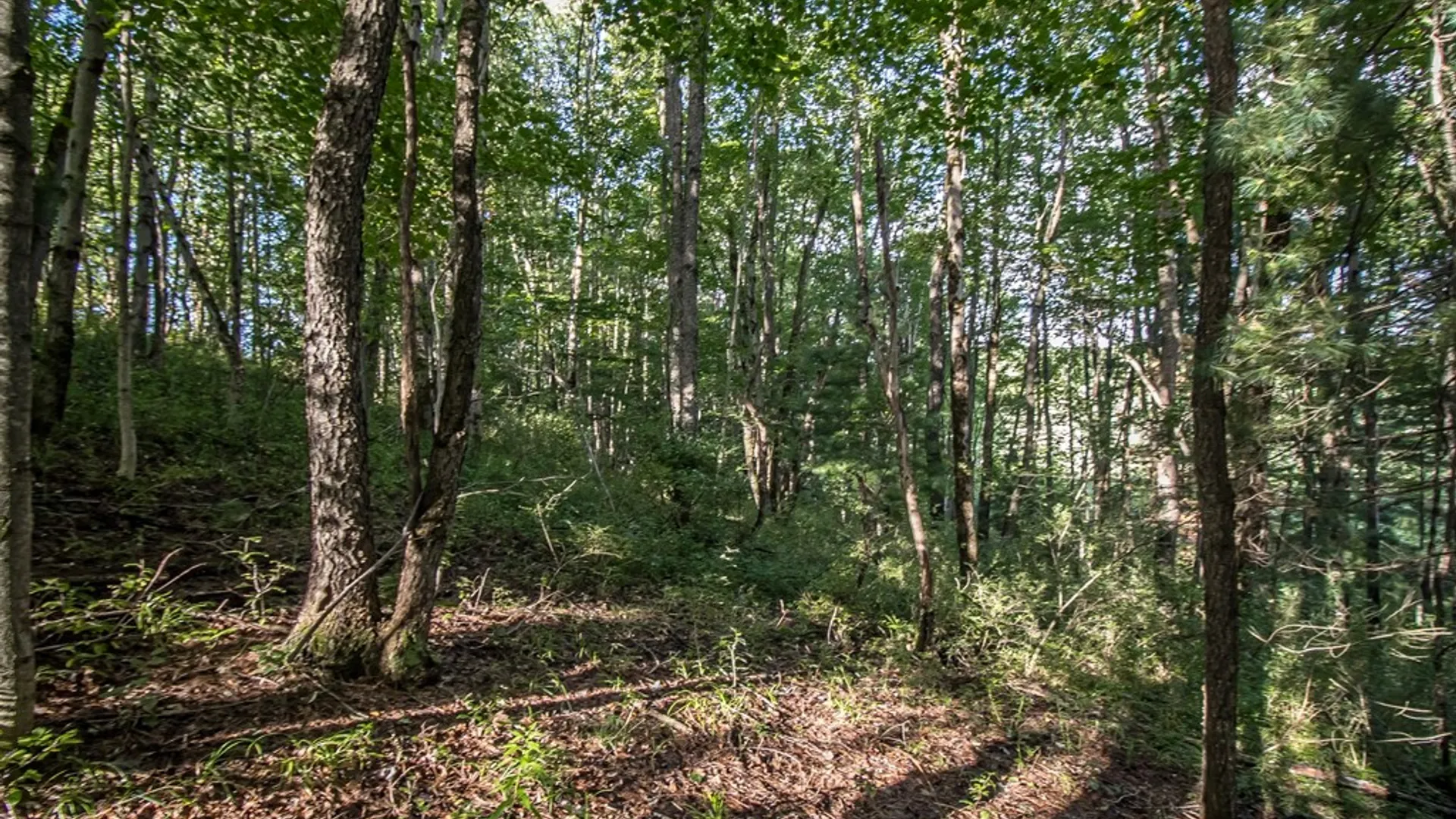 Property at 2455 Hatch Lake Road, Nelson, NY 13334 15