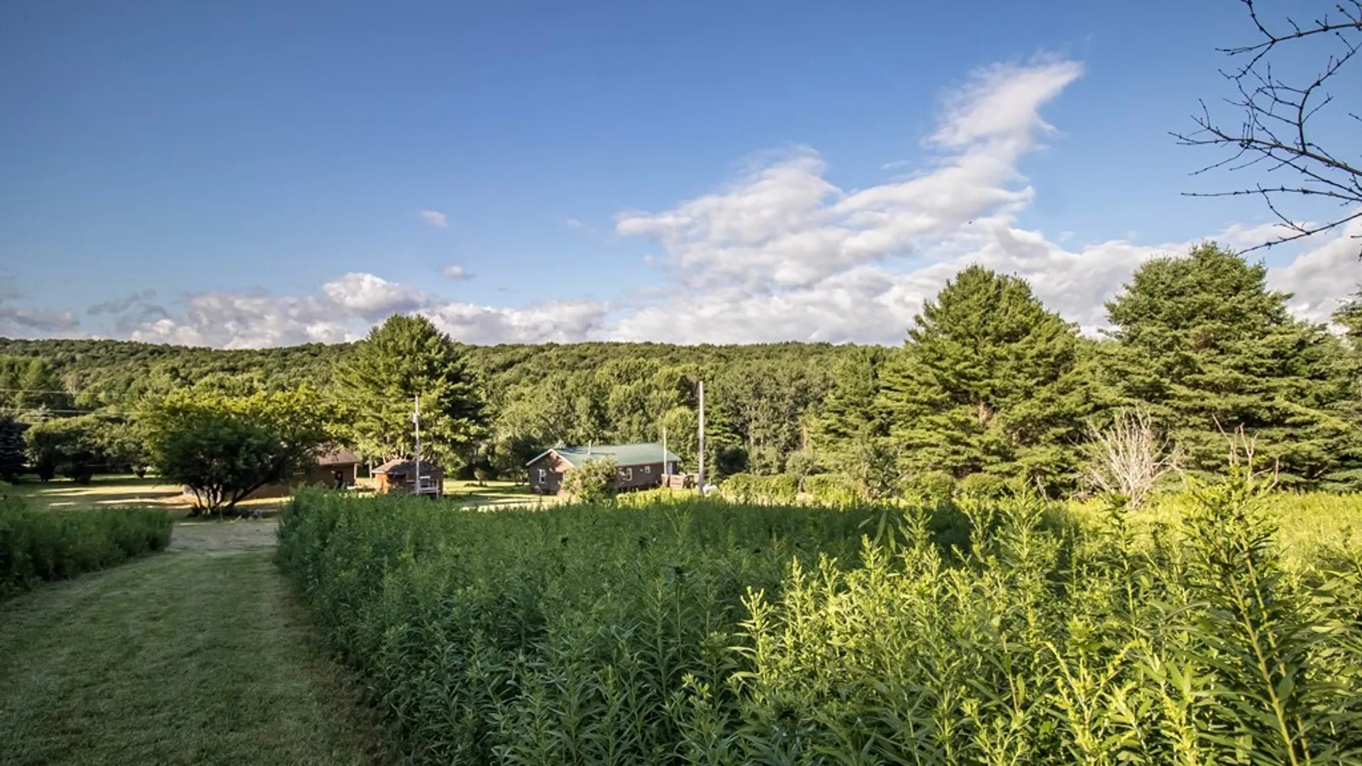 Property at 2455 Hatch Lake Road, Nelson, NY 13334 17
