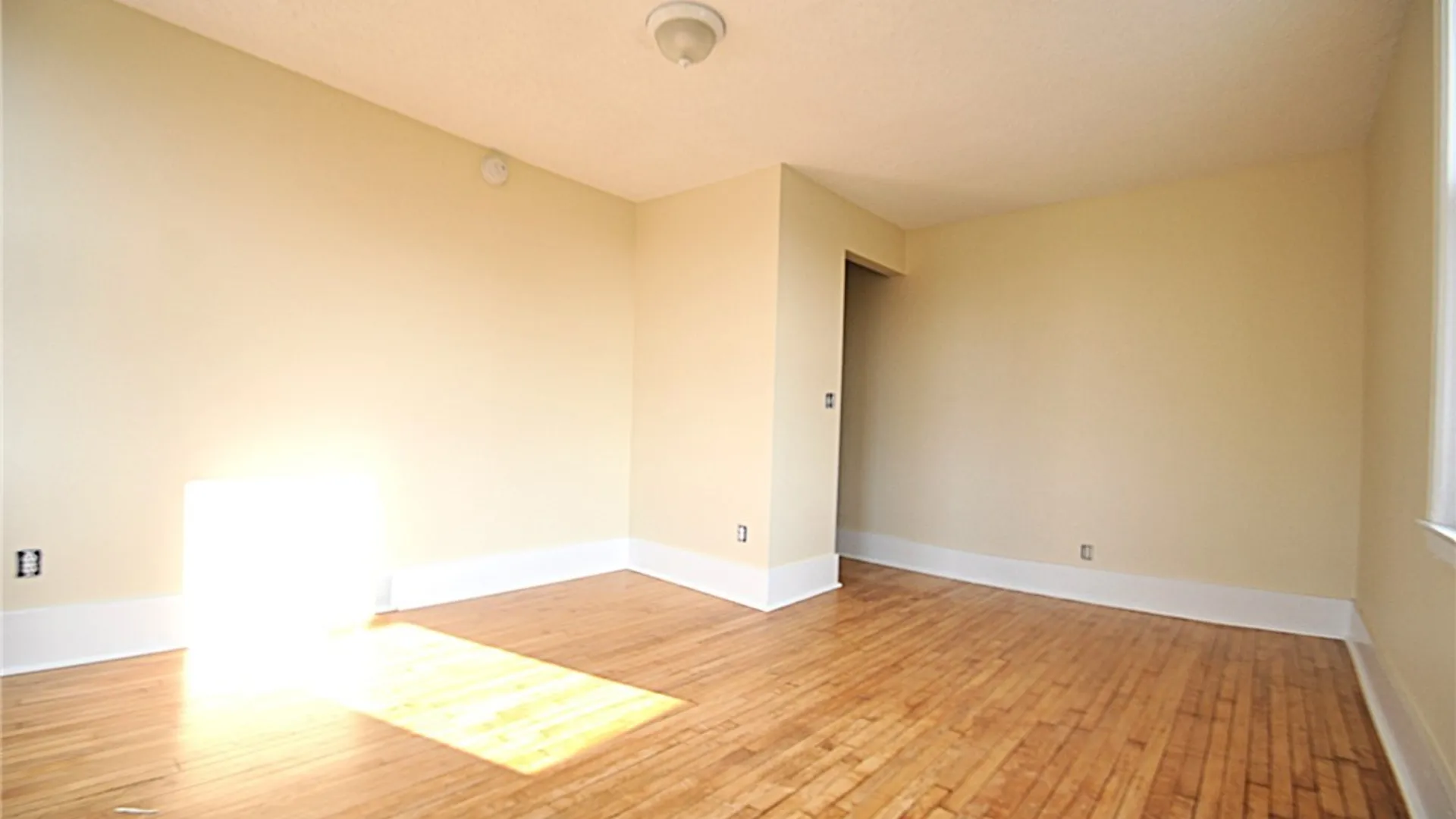 Property at 8525 Main Street, Clarence, NY 14221 18