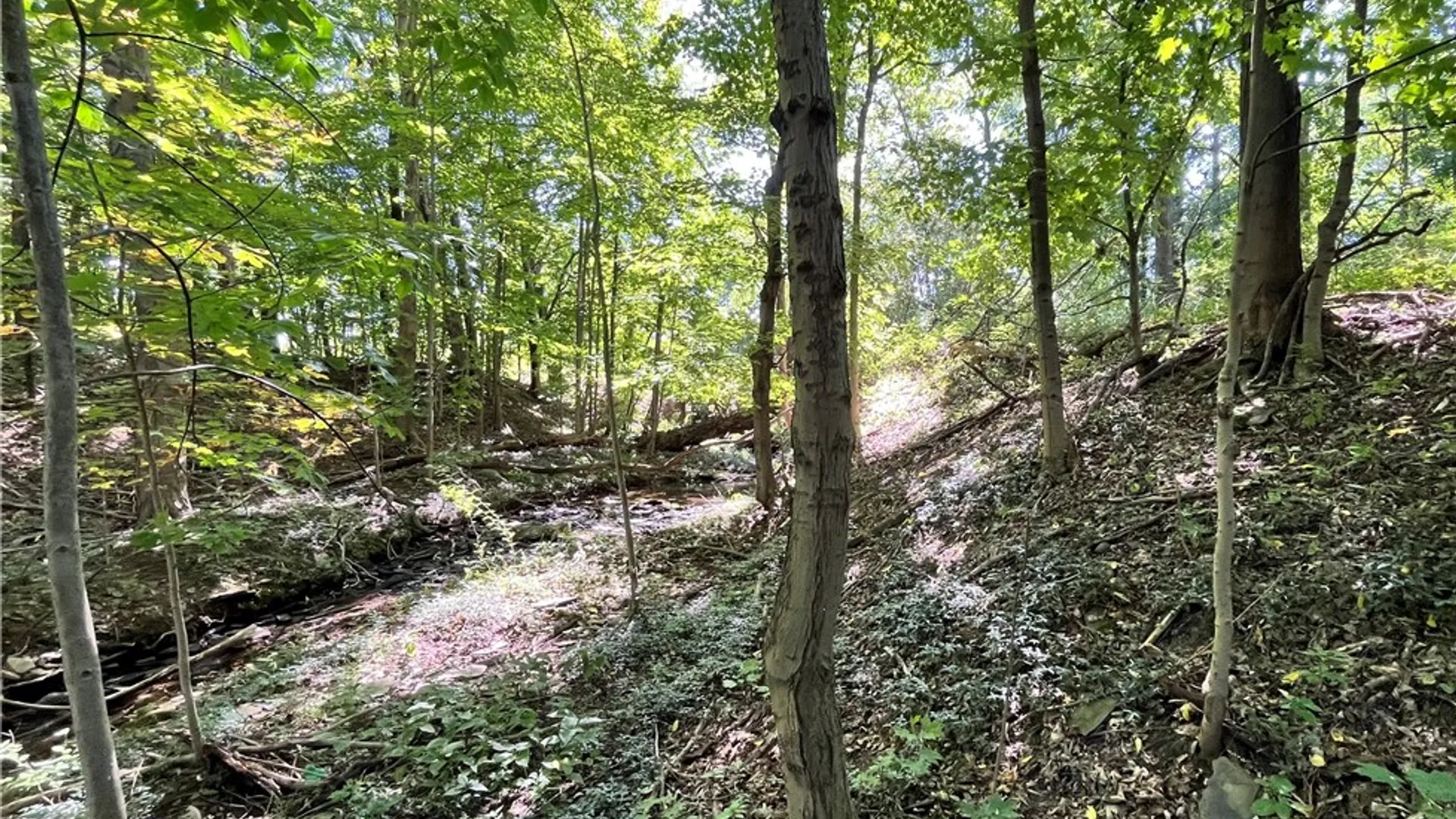 Property at 0 Highland Avenue, Portland, NY 14769 4