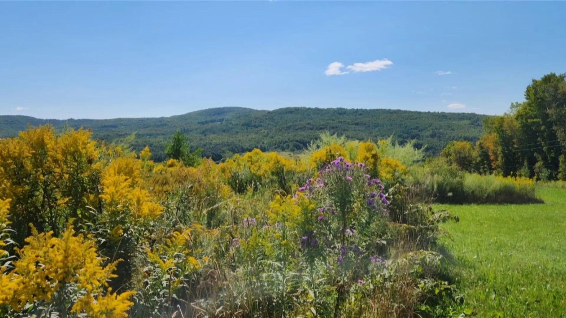 Property at 503 N Harpersfield Road, Jefferson, NY 12093 14