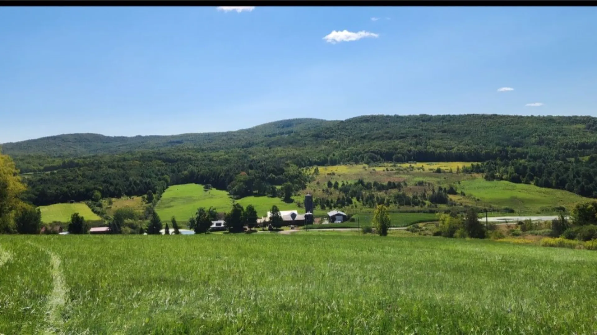 Property at 503 N Harpersfield Road, Jefferson, NY 12093 17