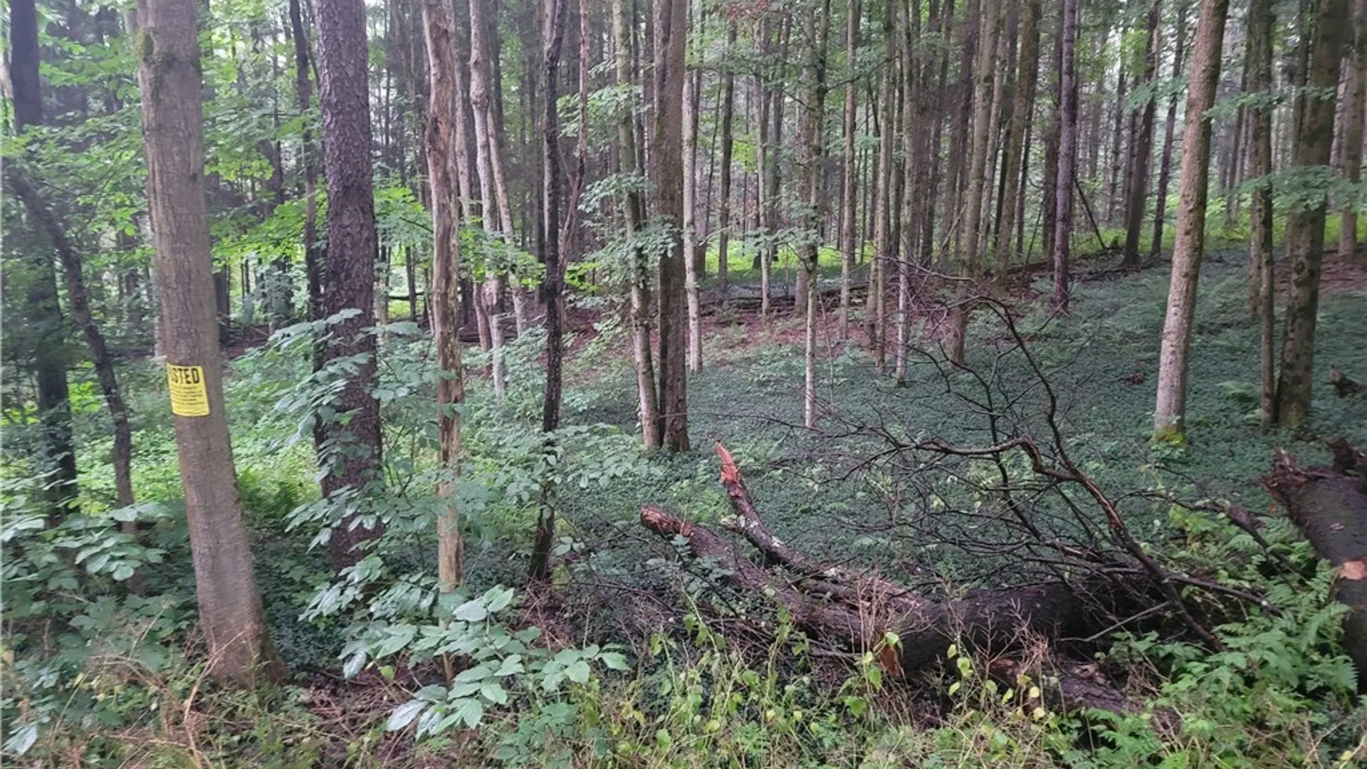 Property at 0 Wade Hill Road, Ellington, NY 14740 5