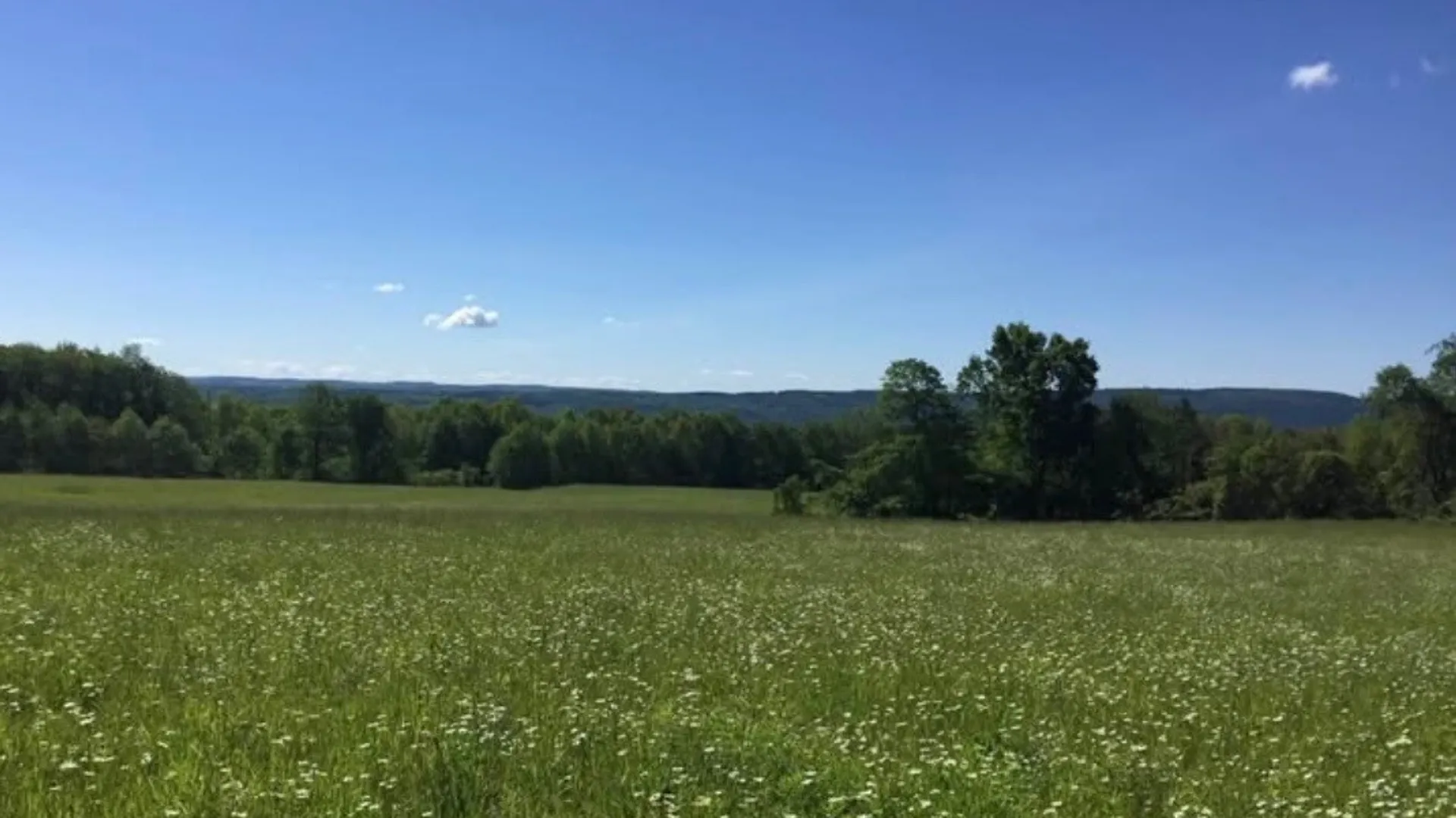 Property at 4765 Seneca Point Road, Canandaigua Town, NY 14424 4