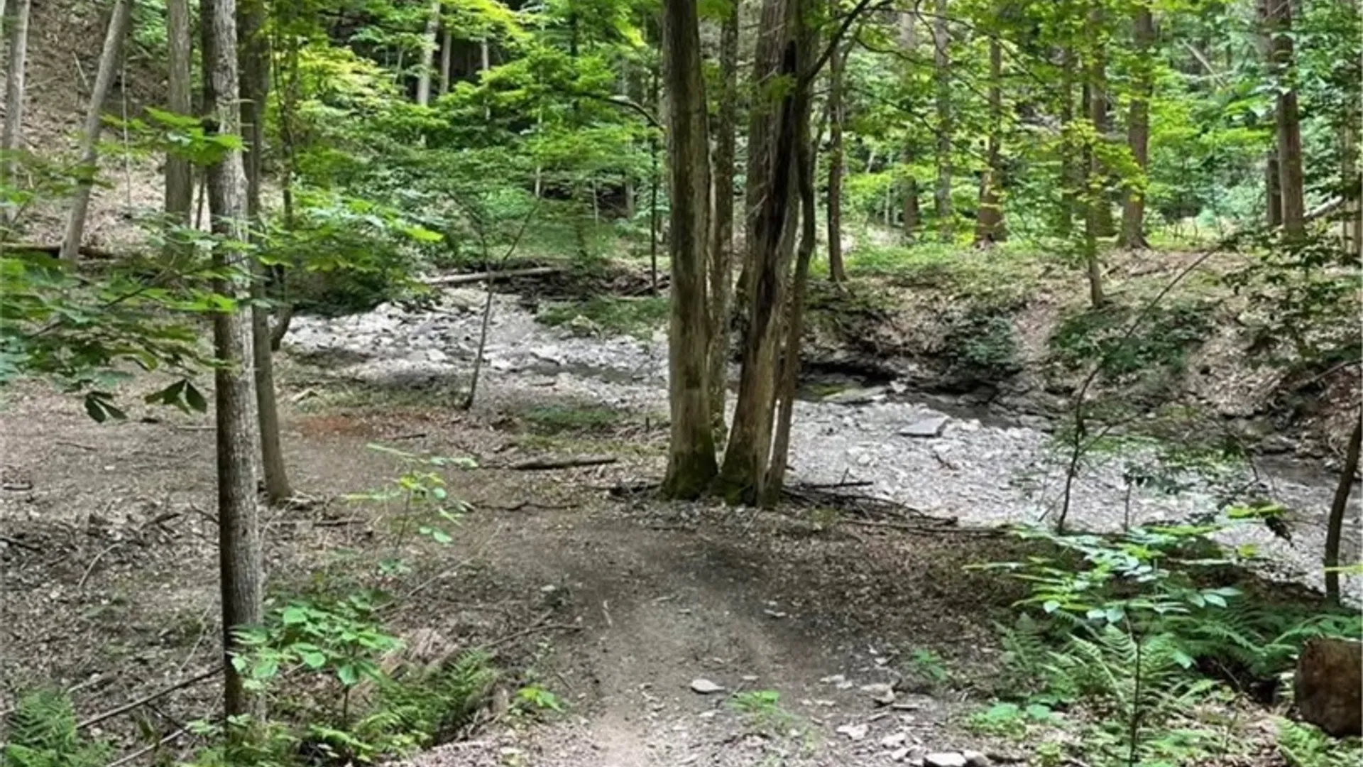 Property at 4765 Seneca Point Road, Canandaigua Town, NY 14424 8