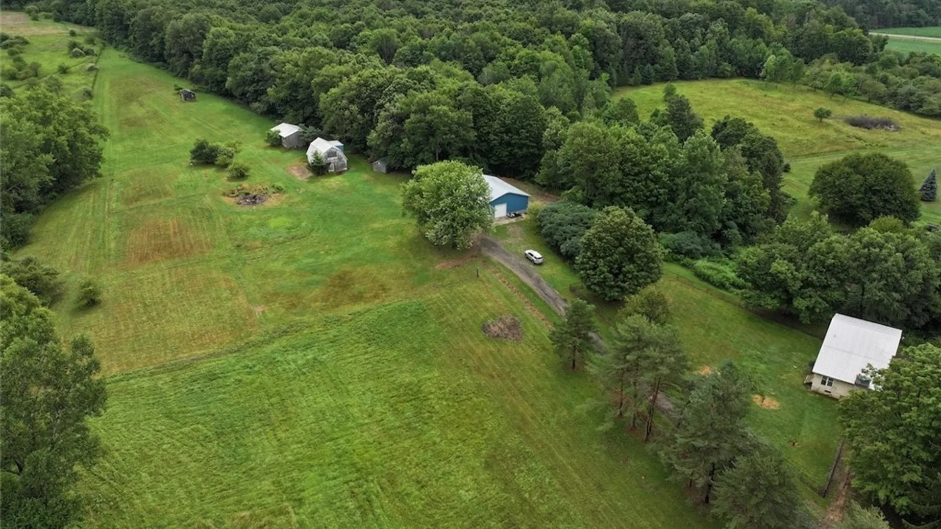 Property at 13849 Brewer Road, Collins, NY 14034 4