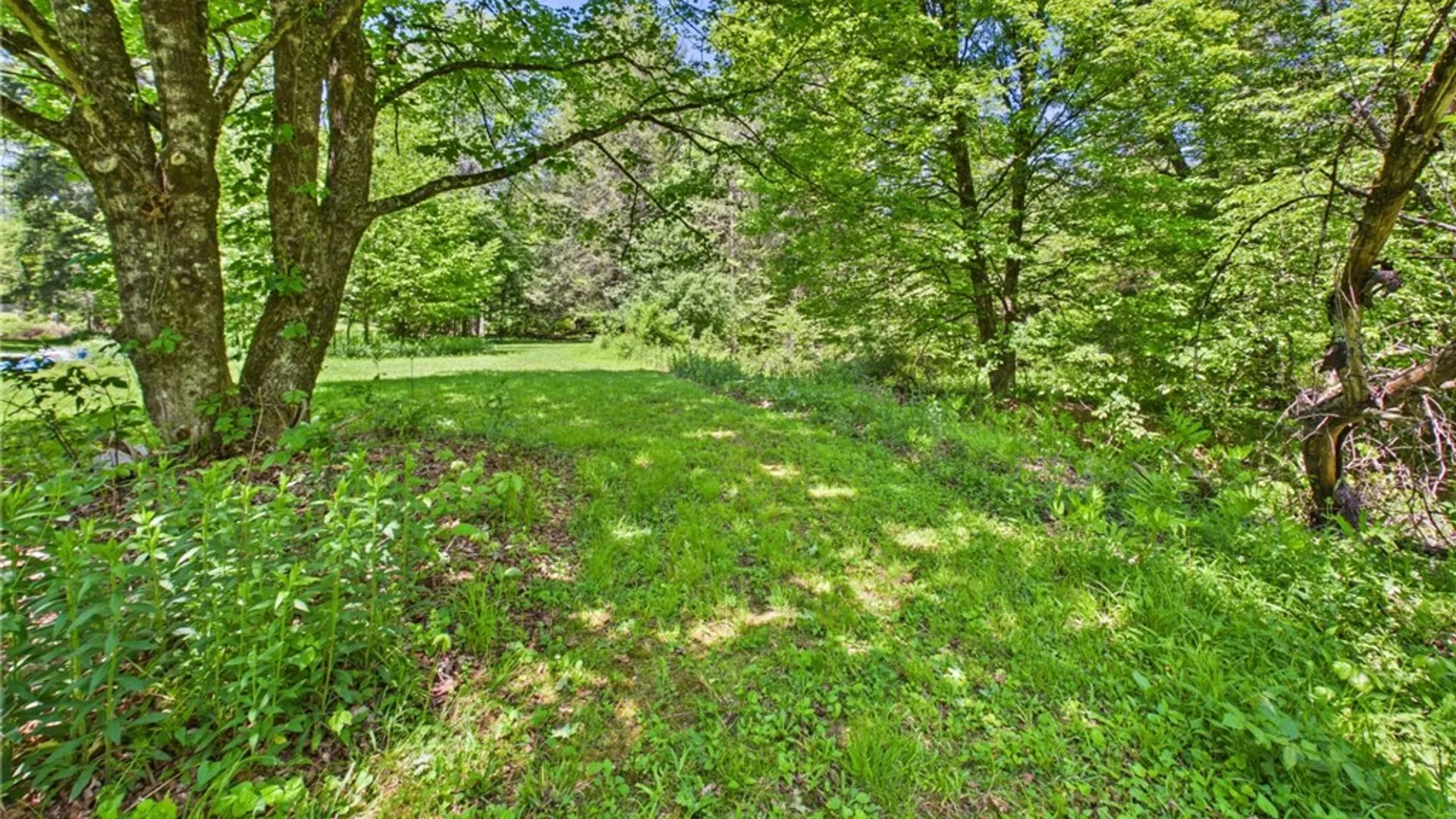 Property at 343 Christian Hollow, Norwich, PA 16749 41