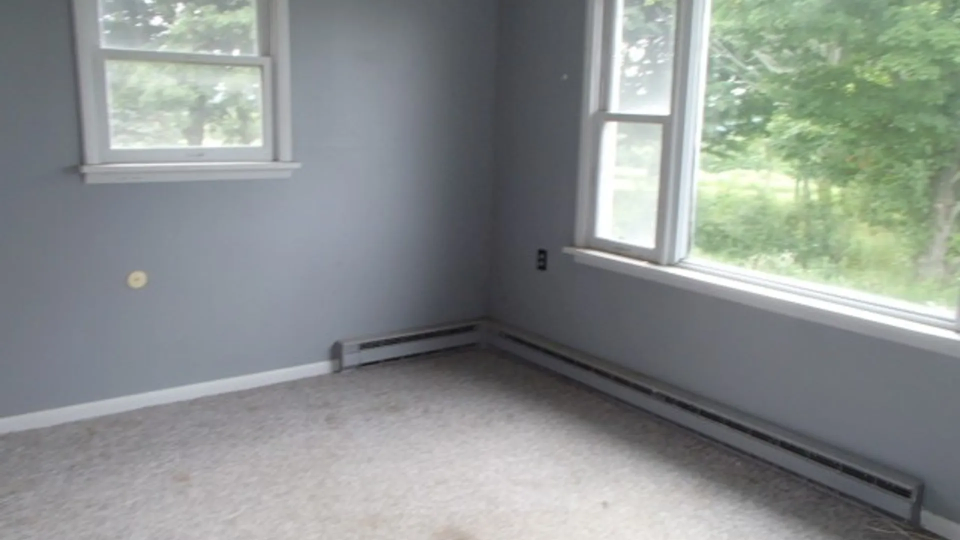 Property at 190 Austin Hill Road, Erin, NY 14838 9