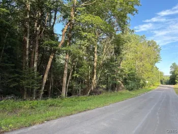 Property at 0 Harvey Bridge Road, Ohio, NY 13324