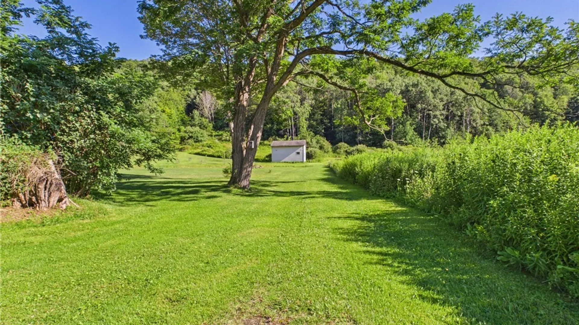 Property at 3594 County Road 6, Clarksville, NY 14727 42