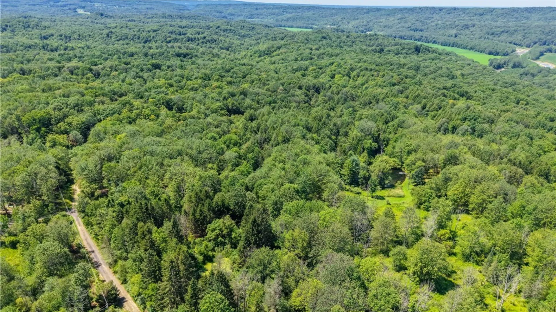 Property at 50 Pine Road, East Otto, NY 14729 45