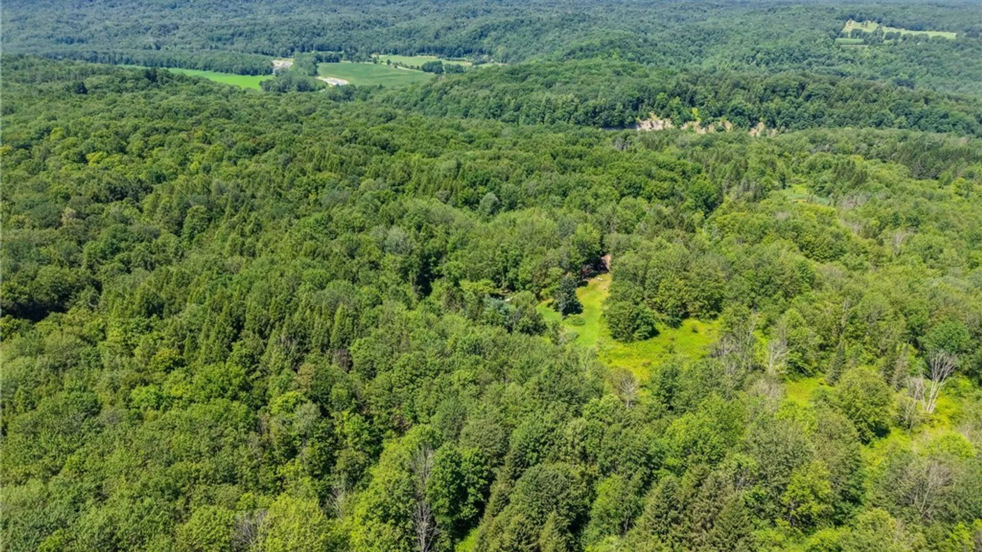 Property at 50 Pine Road, East Otto, NY 14729 46
