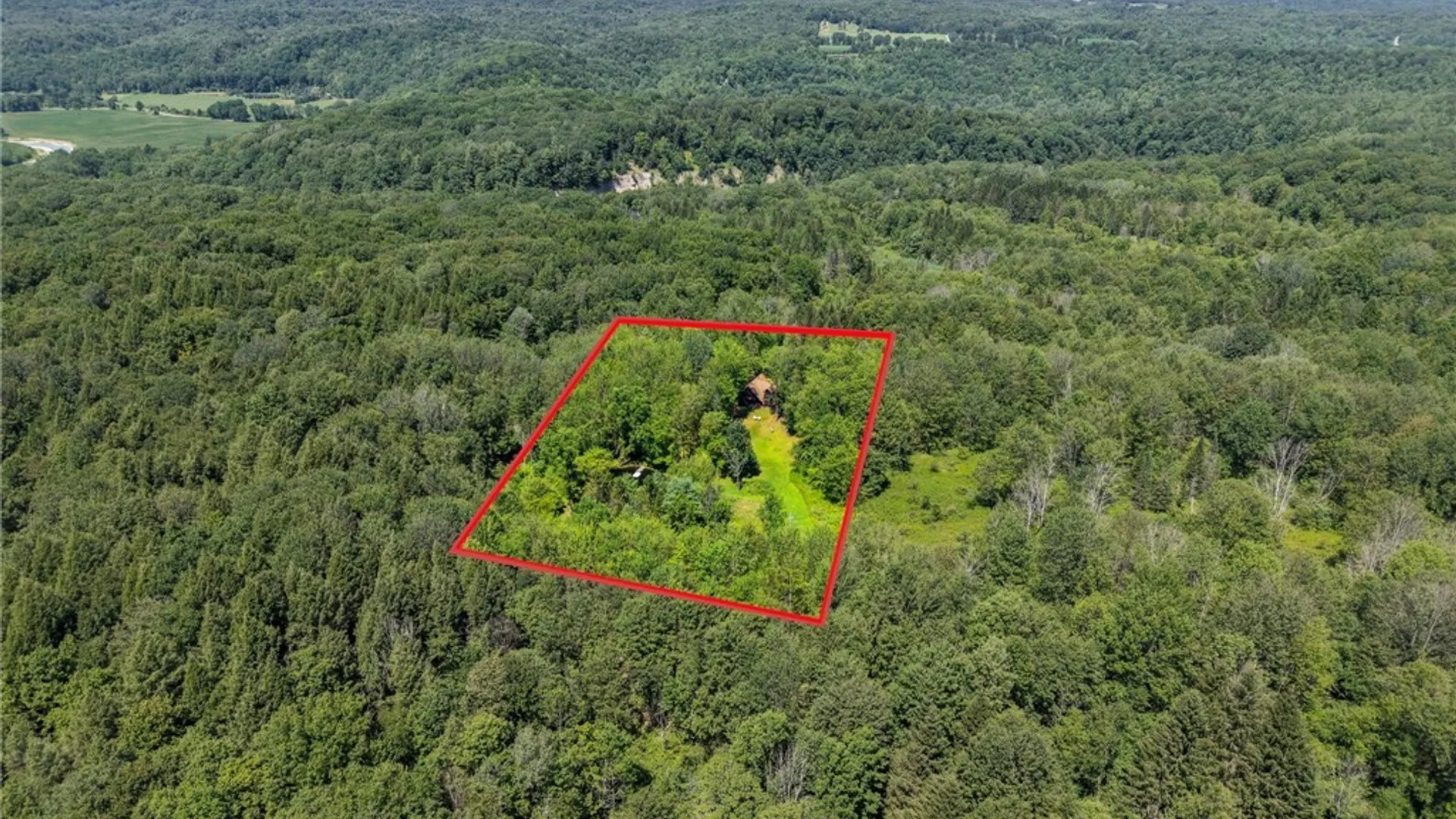 Property at 50 Pine Road, East Otto, NY 14729 47