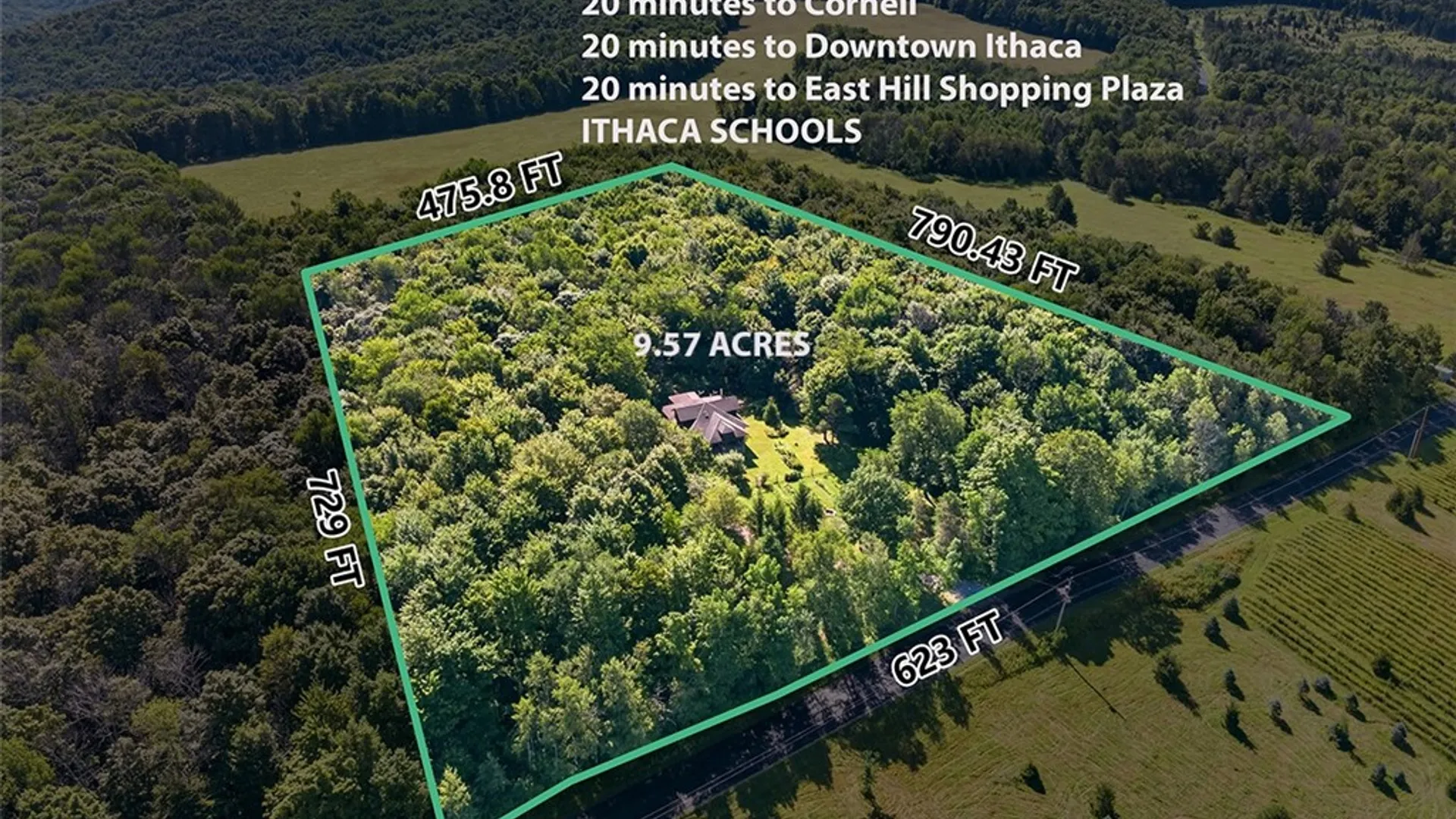 Property at 151 Fire Tower Road, Caroline, NY 13736 3