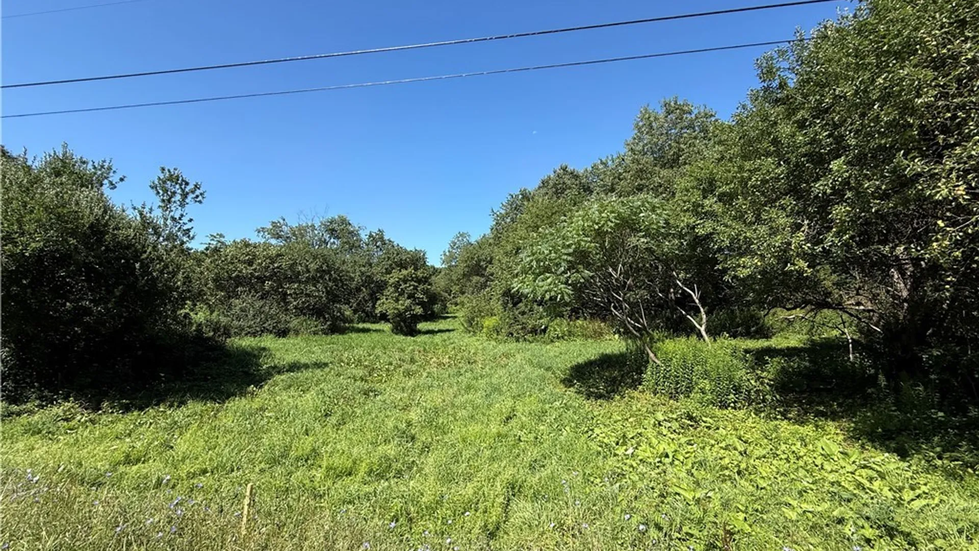 Property at French Settlement Road, Lorraine, NY 13659 4