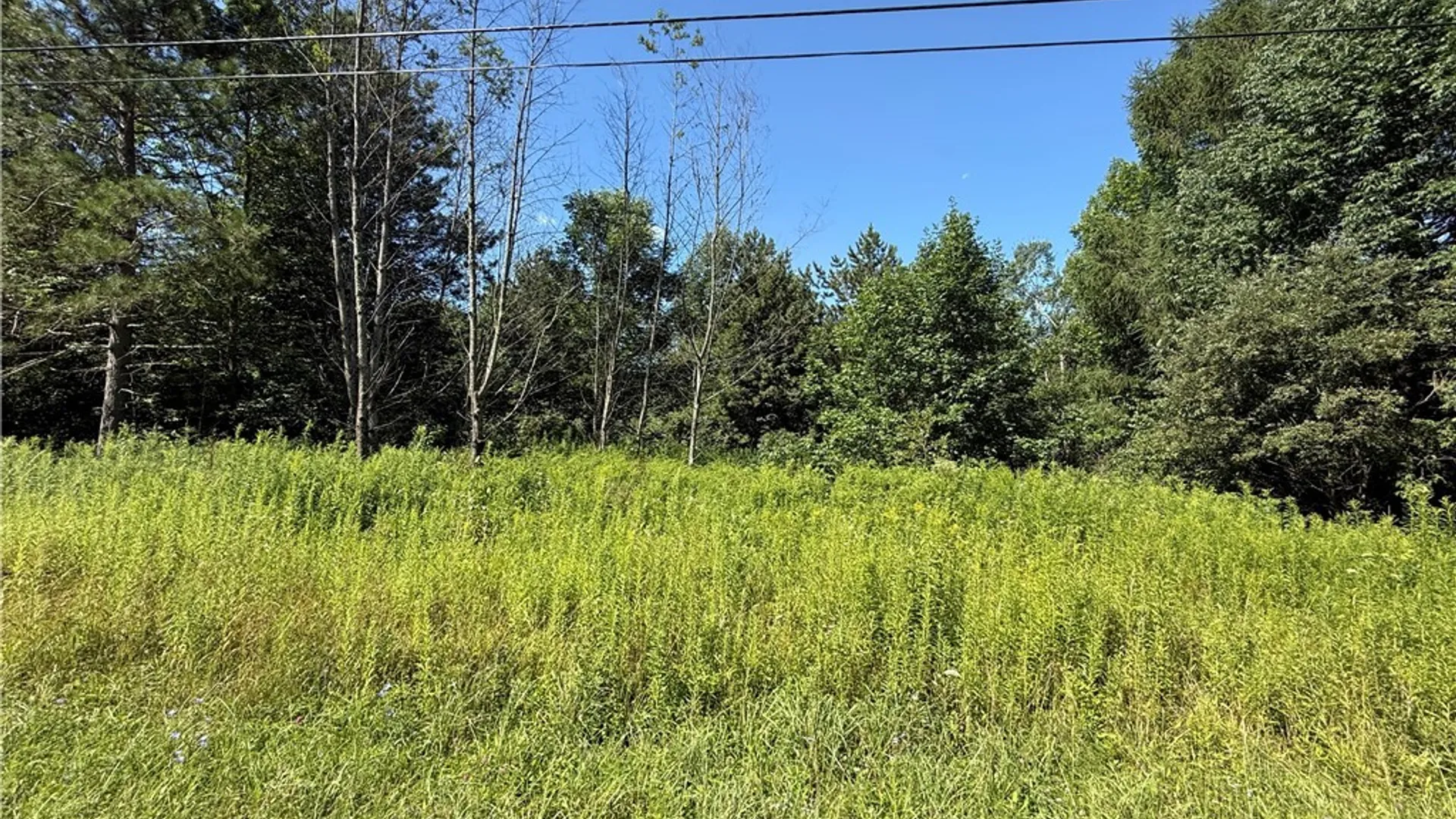 Property at French Settlement Road, Lorraine, NY 13659 3