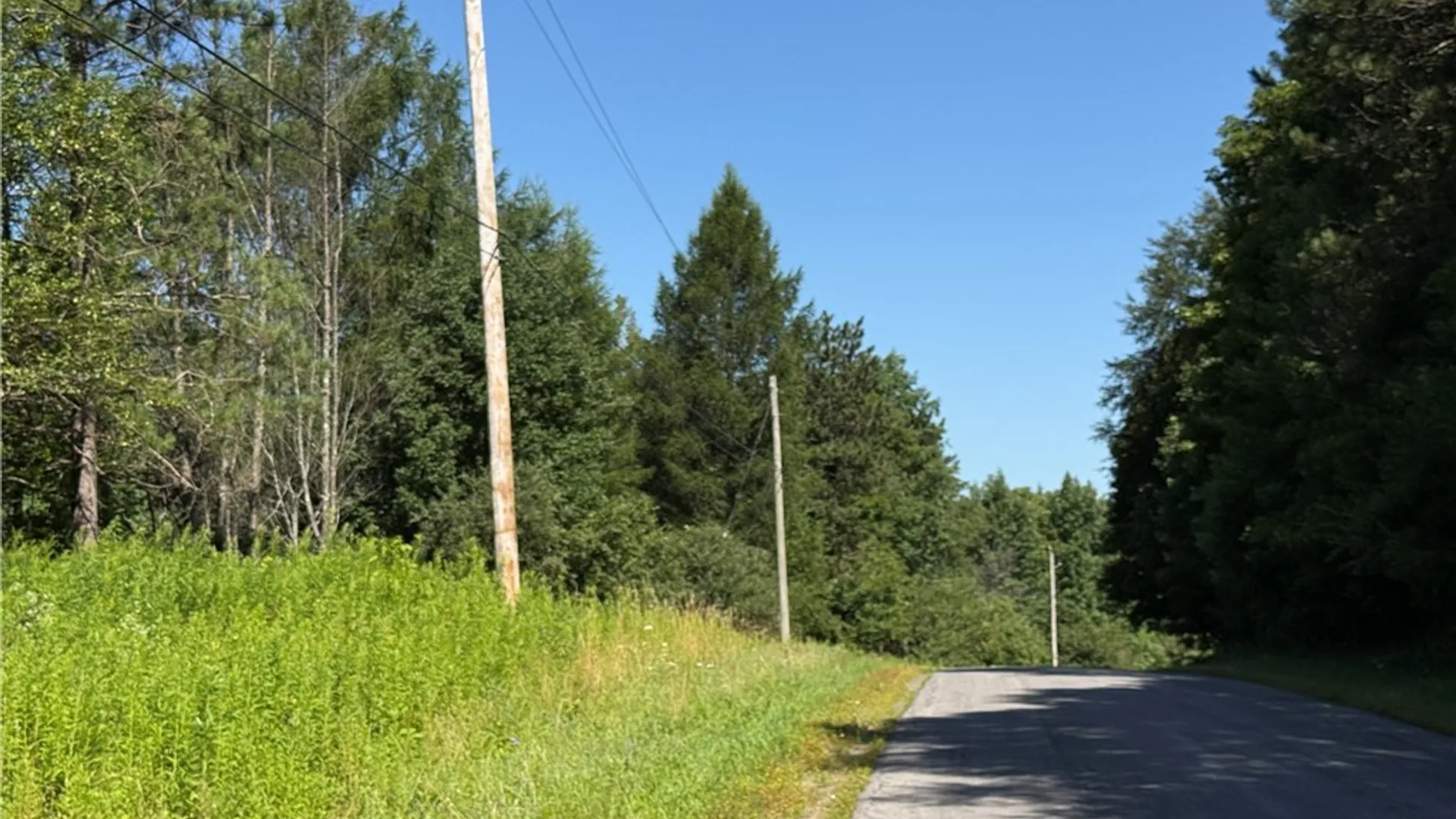 Property at French Settlement Road, Lorraine, NY 13659 6