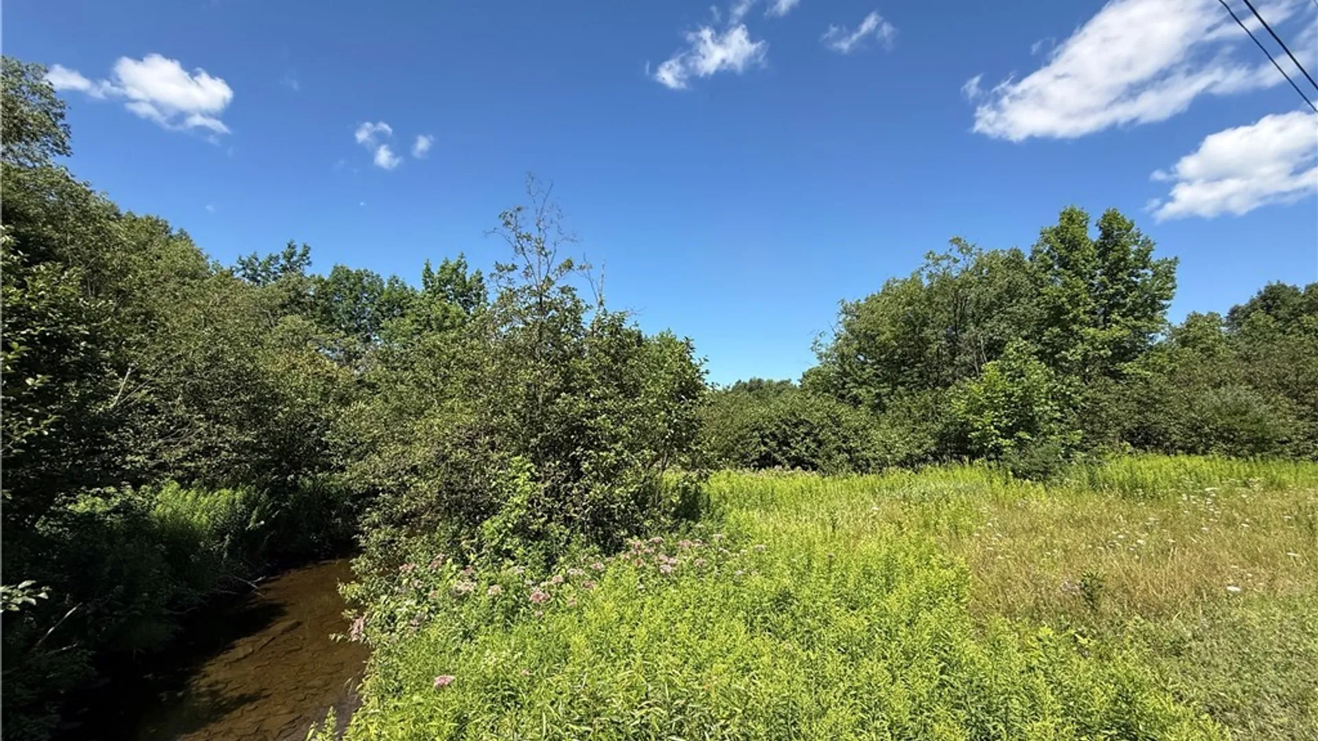 Property at French Settlement Road, Lorraine, NY 13659 8